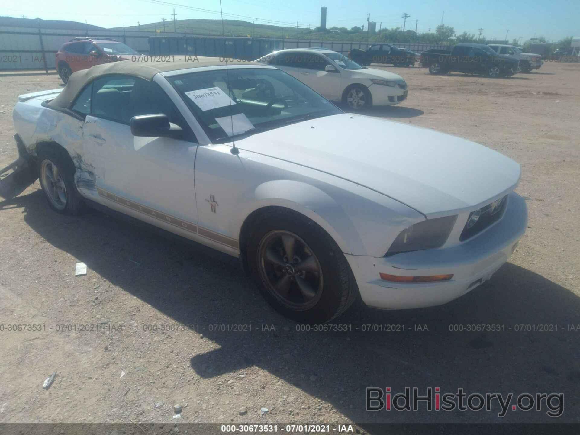 Photo 1ZVHT84N485145083 - FORD MUSTANG 2008