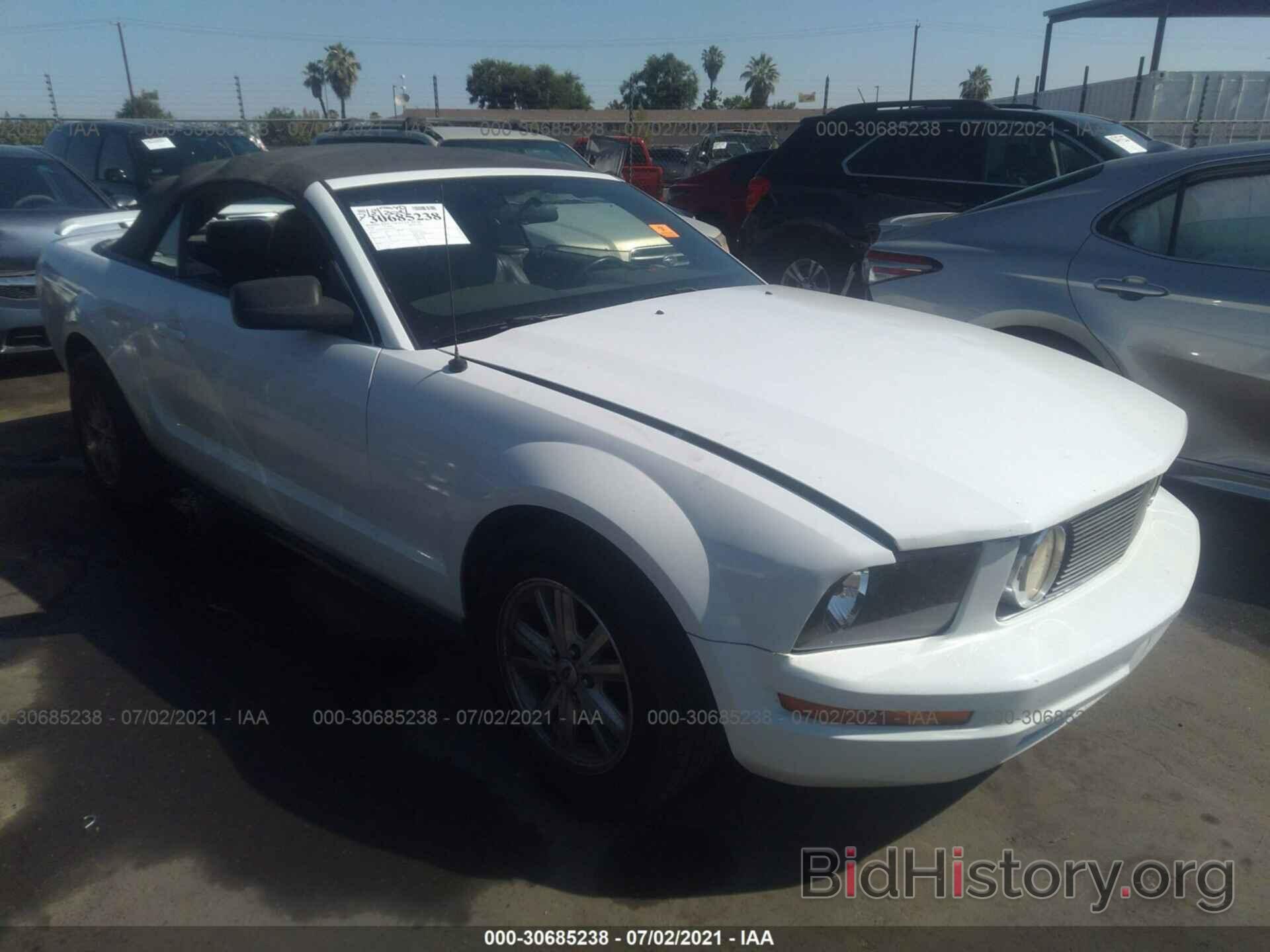 Photo 1ZVFT84N165241760 - FORD MUSTANG 2006