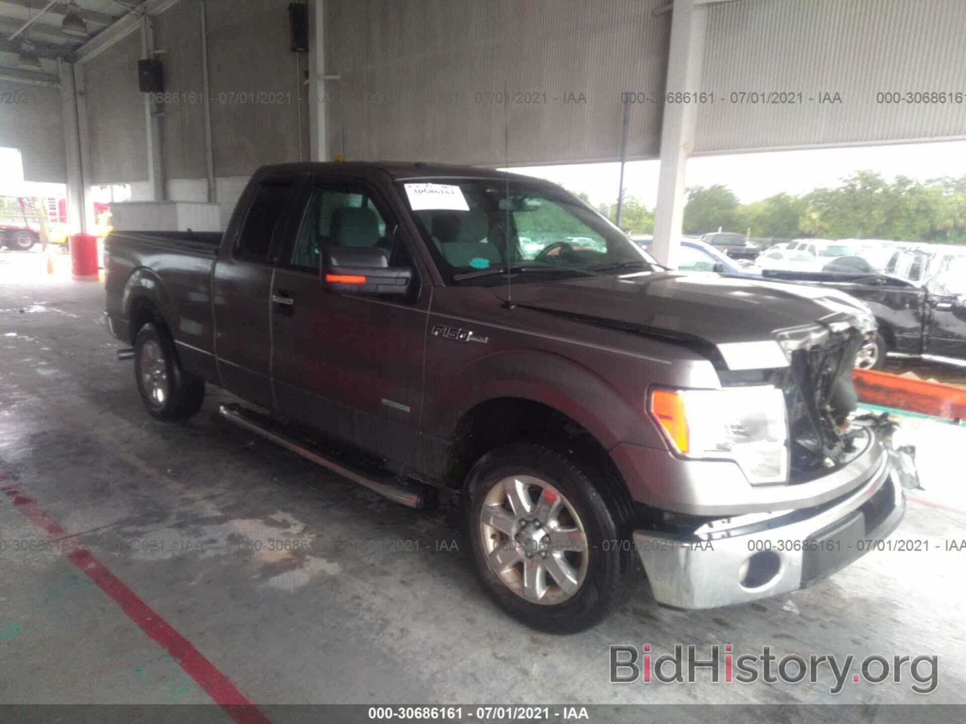Photo 1FTFX1CT8DFC77161 - FORD F-150 2013