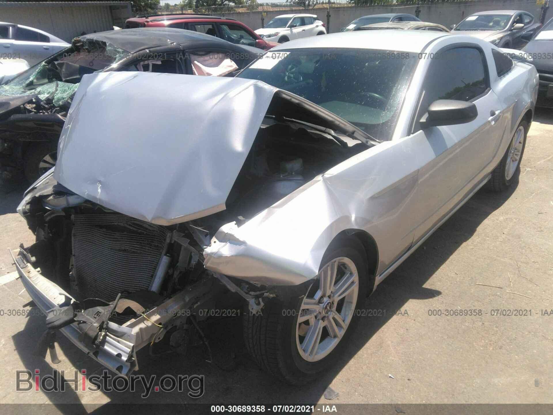 2014 FORD MUSTANG - VIN: 1ZVBP8AM4E5266388 - Фото 2