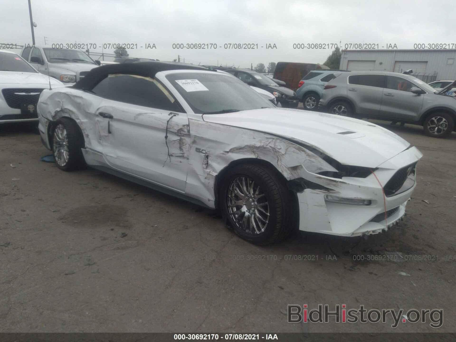 Photo 1FATP8FF6K5104569 - FORD MUSTANG 2019