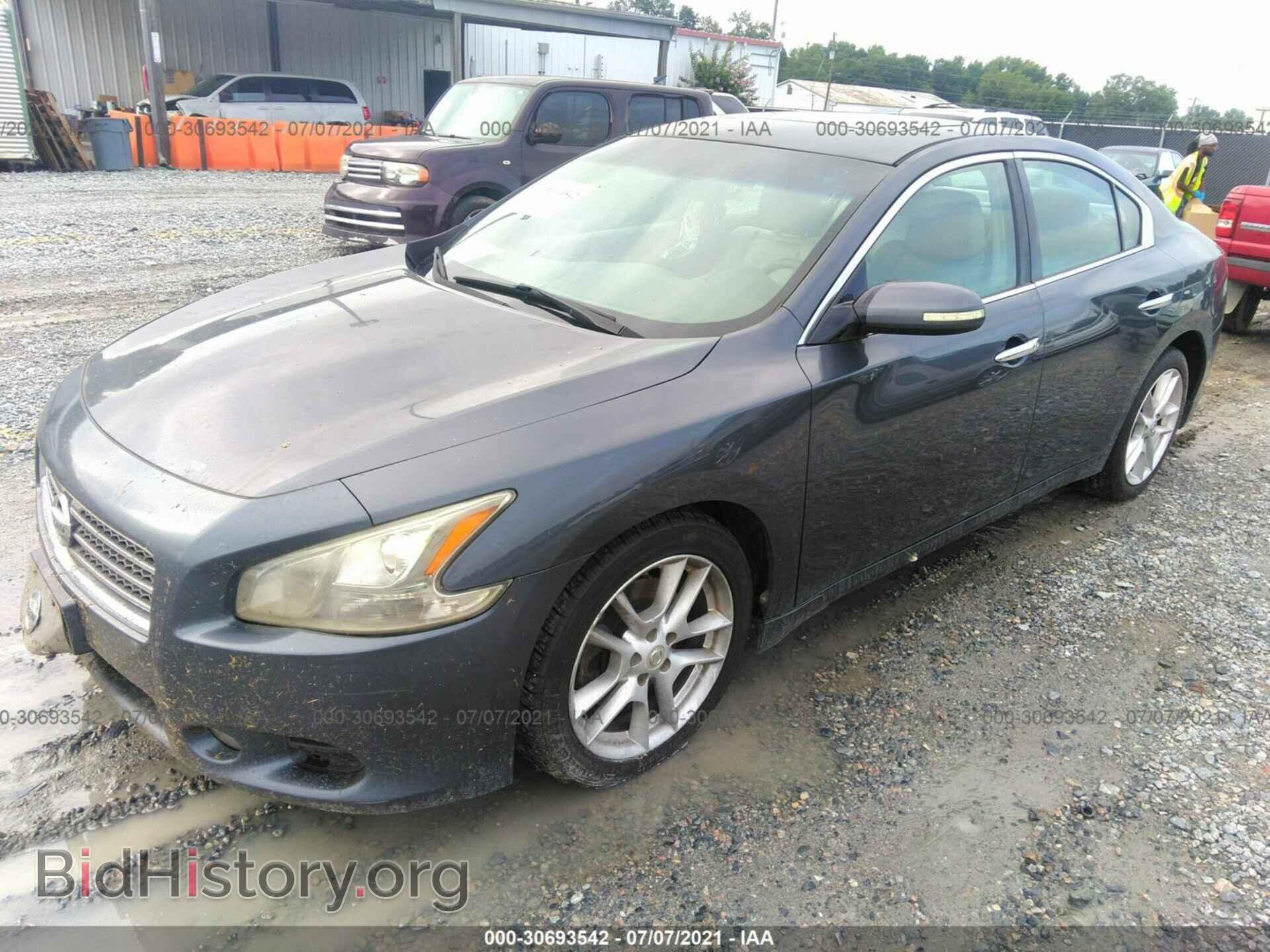 2009 NISSAN MAXIMA - VIN: 1N4AA51E79C824054 - Фото 2