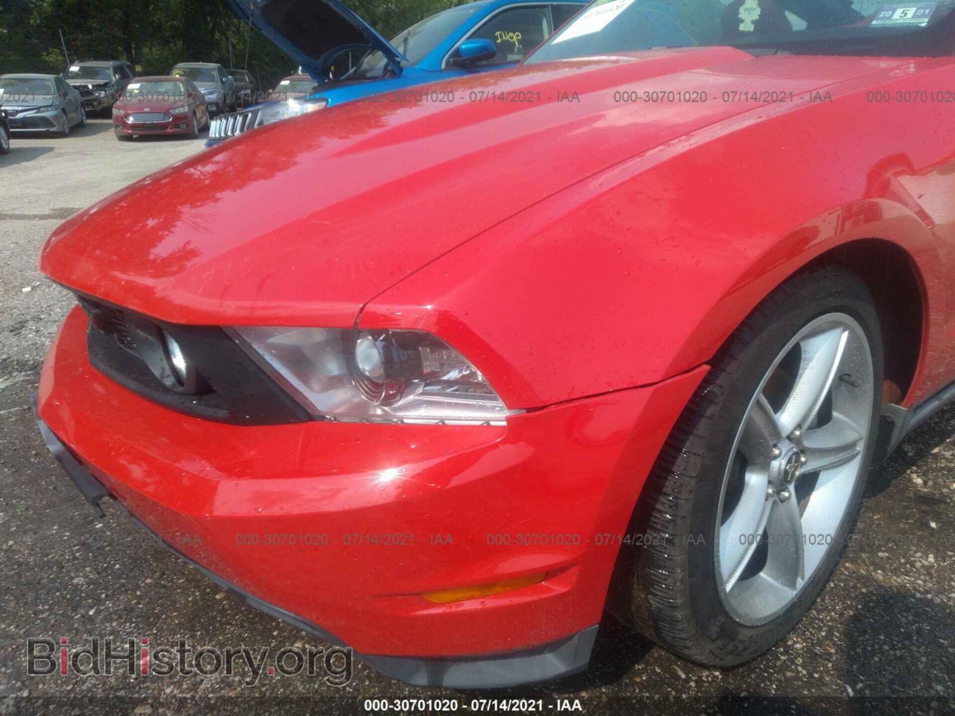 2010 FORD MUSTANG - VIN: 1ZVBP8CH7A5112462 - Фото 6