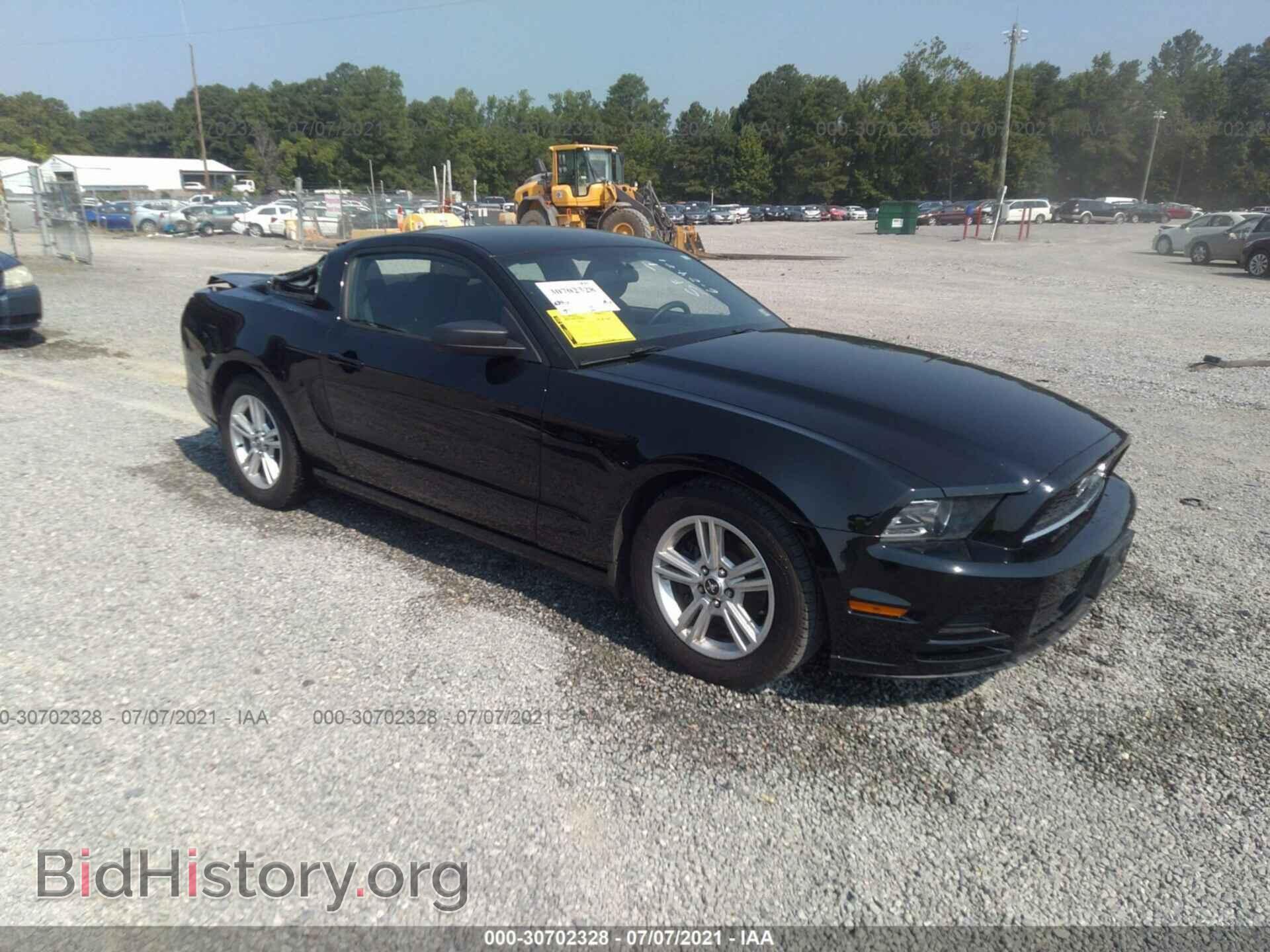 Photo 1ZVBP8AM9E5324382 - FORD MUSTANG 2014
