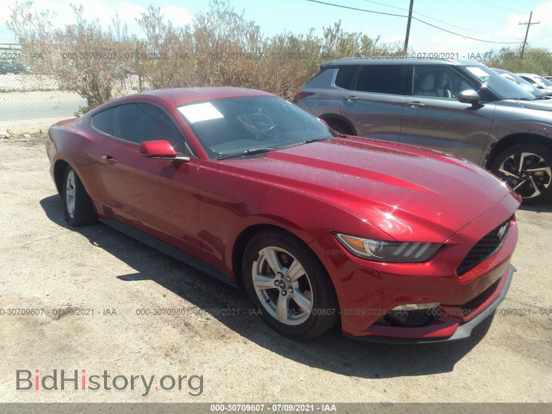 Фотография 1FA6P8TH5F5431568 - FORD MUSTANG 2015
