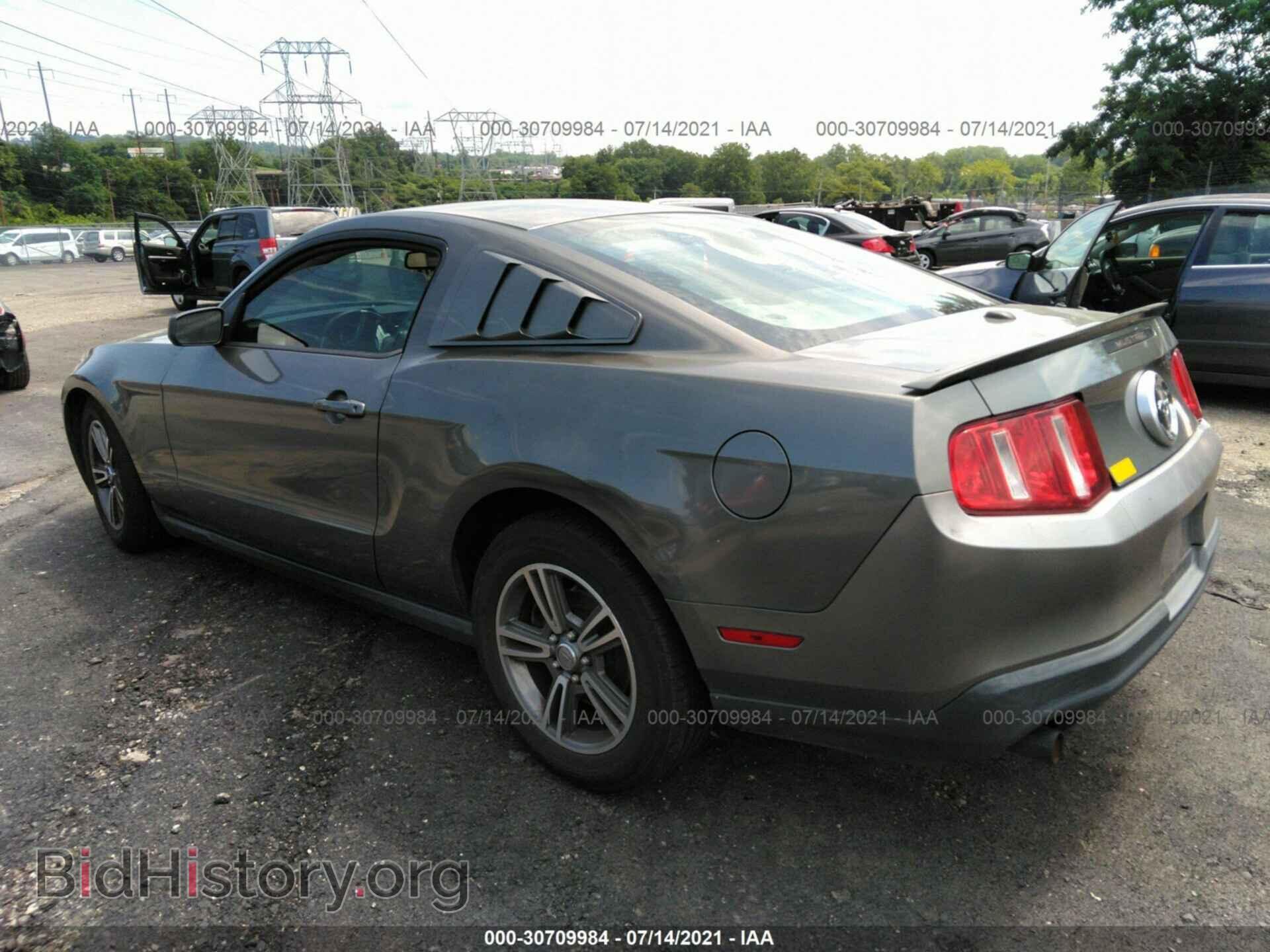 2010 FORD MUSTANG - VIN: 1ZVBP8AN1A5128343 - Фото 3