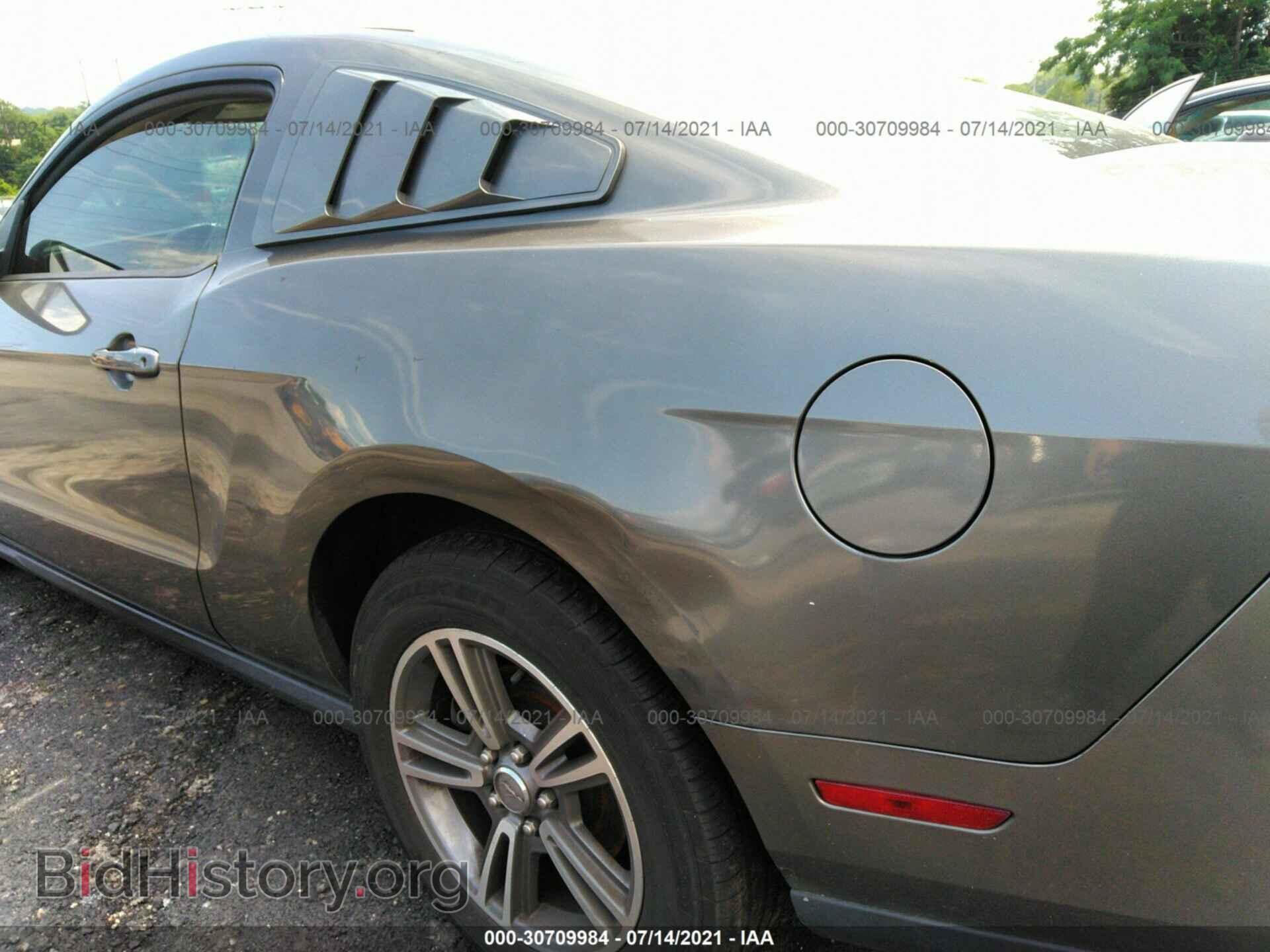 2010 FORD MUSTANG - VIN: 1ZVBP8AN1A5128343 - Фото 6