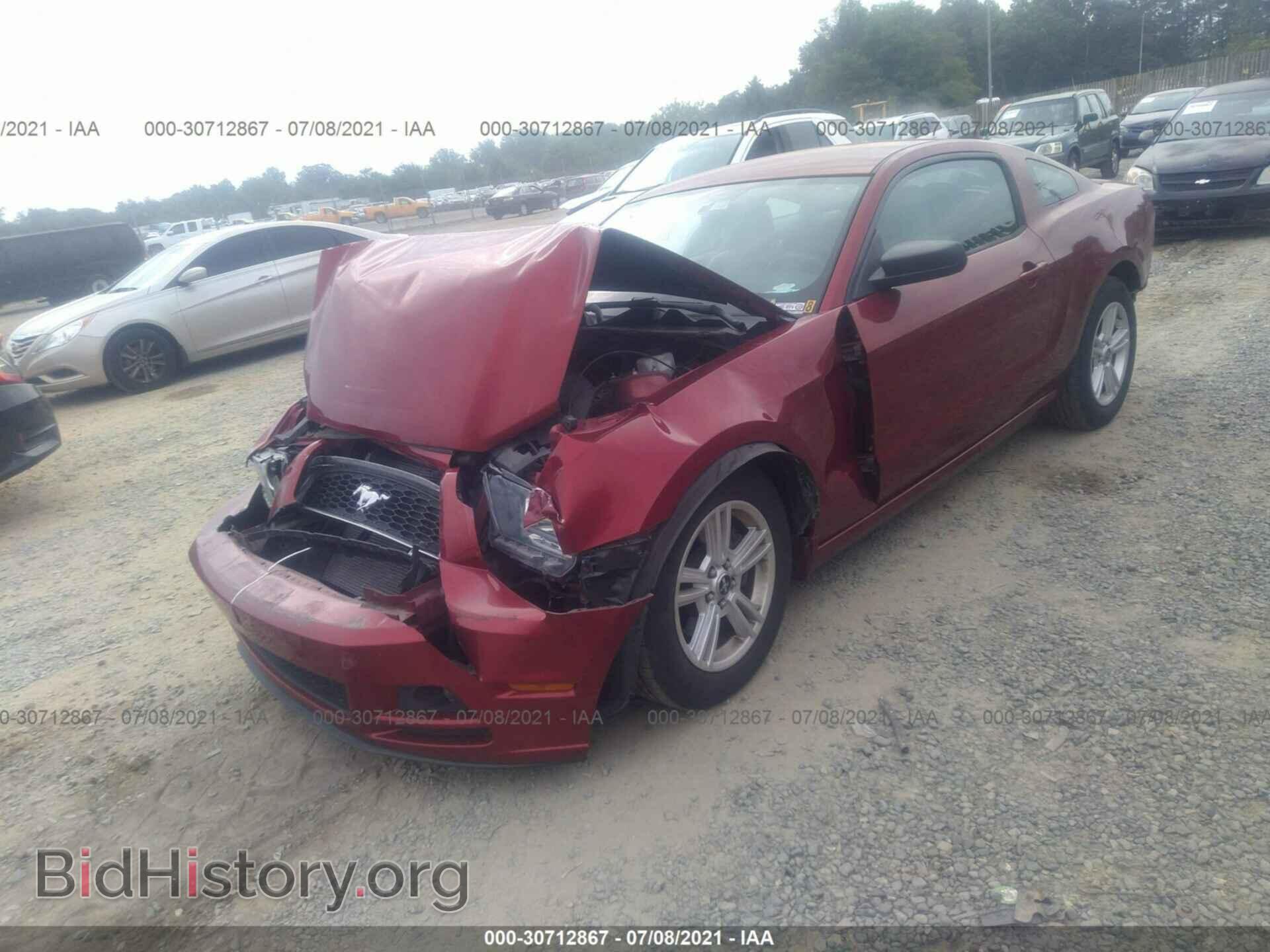 2014 FORD MUSTANG - VIN: 1ZVBP8AM4E5228174 - Фото 2