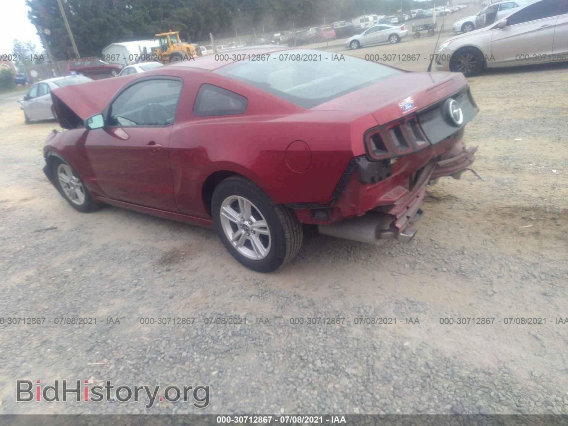 2014 FORD MUSTANG - VIN: 1ZVBP8AM4E5228174 - Фото 3