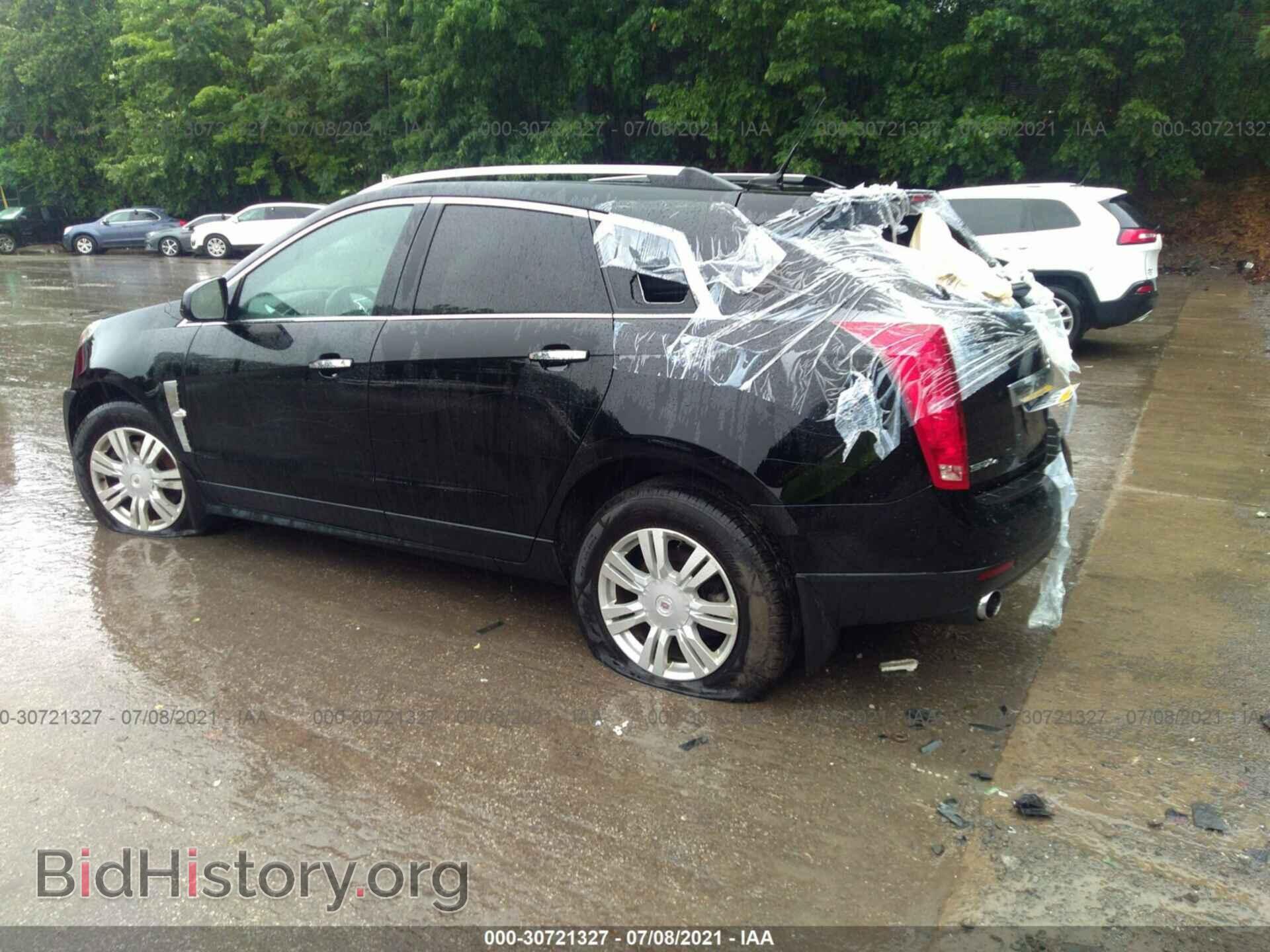 2010 CADILLAC SRX - VIN: 3GYFNDEY2AS595424 - Фото 3