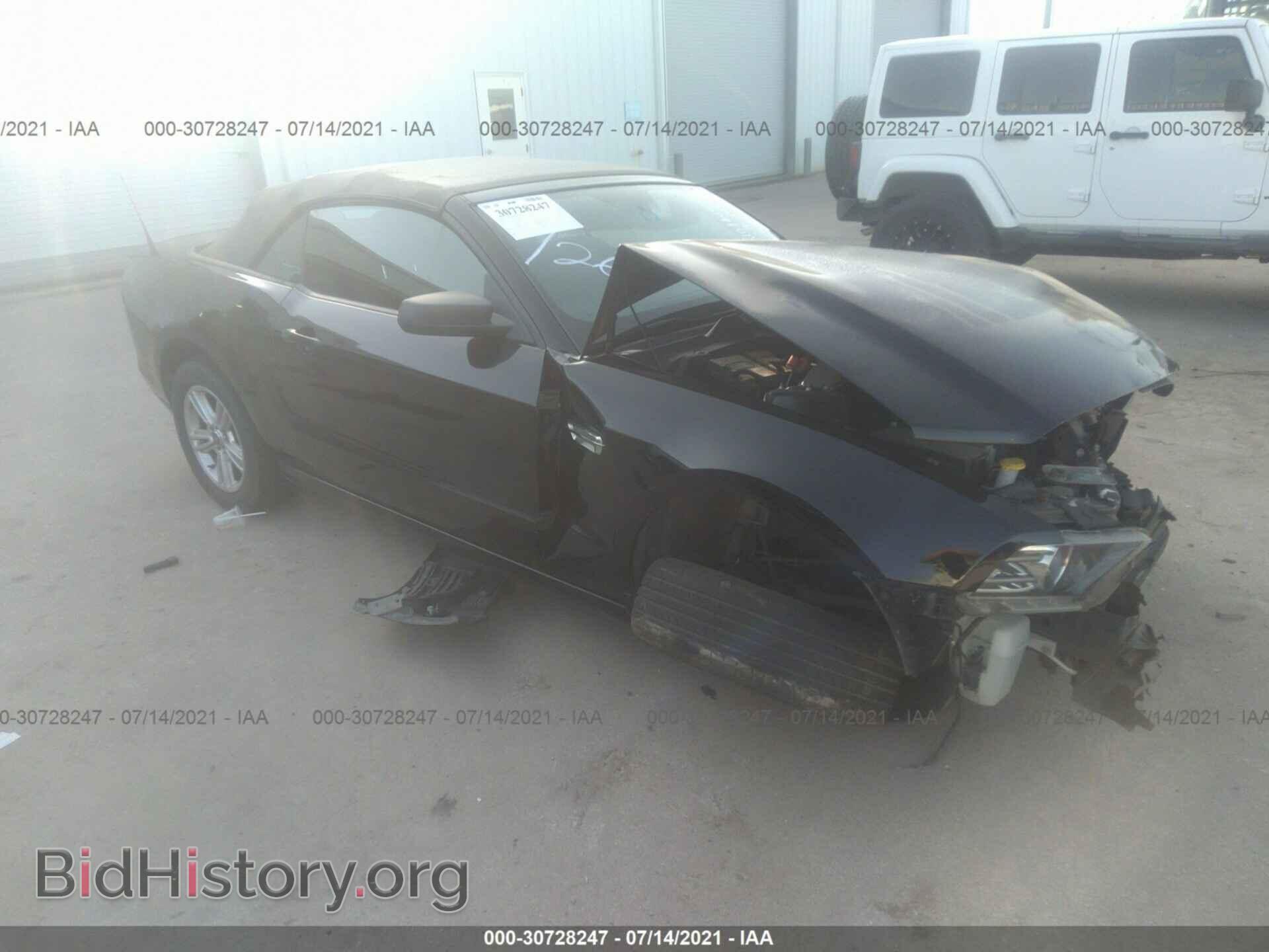 Фотография 1ZVBP8EM2D5224584 - FORD MUSTANG 2013