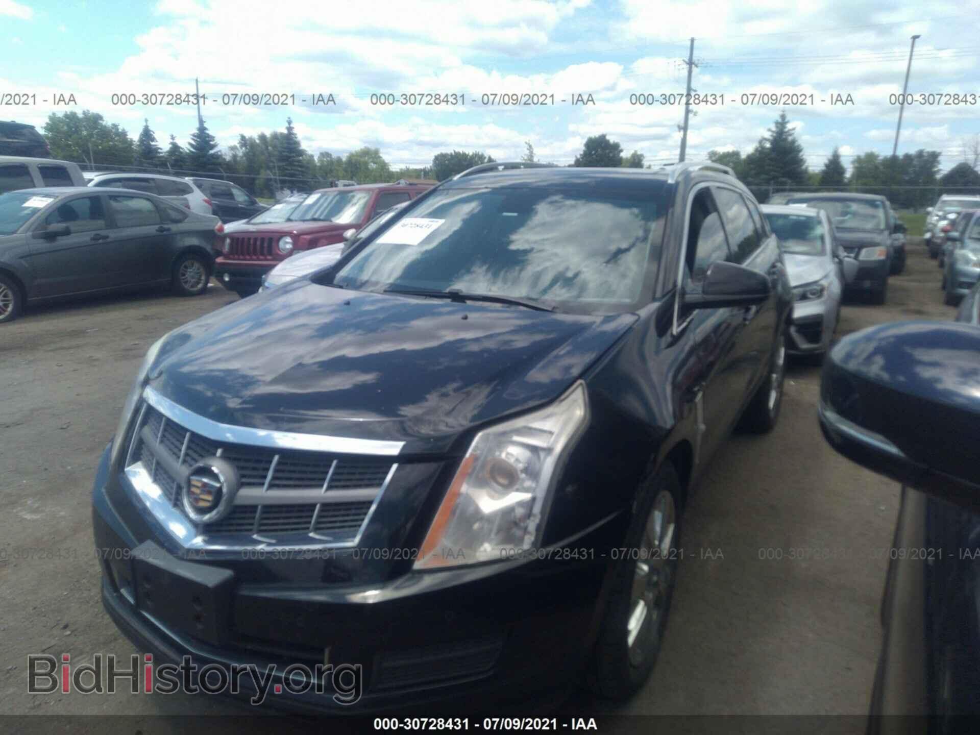 2010 CADILLAC SRX - VIN: 3GYFNDEY3AS517041 - Фото 2