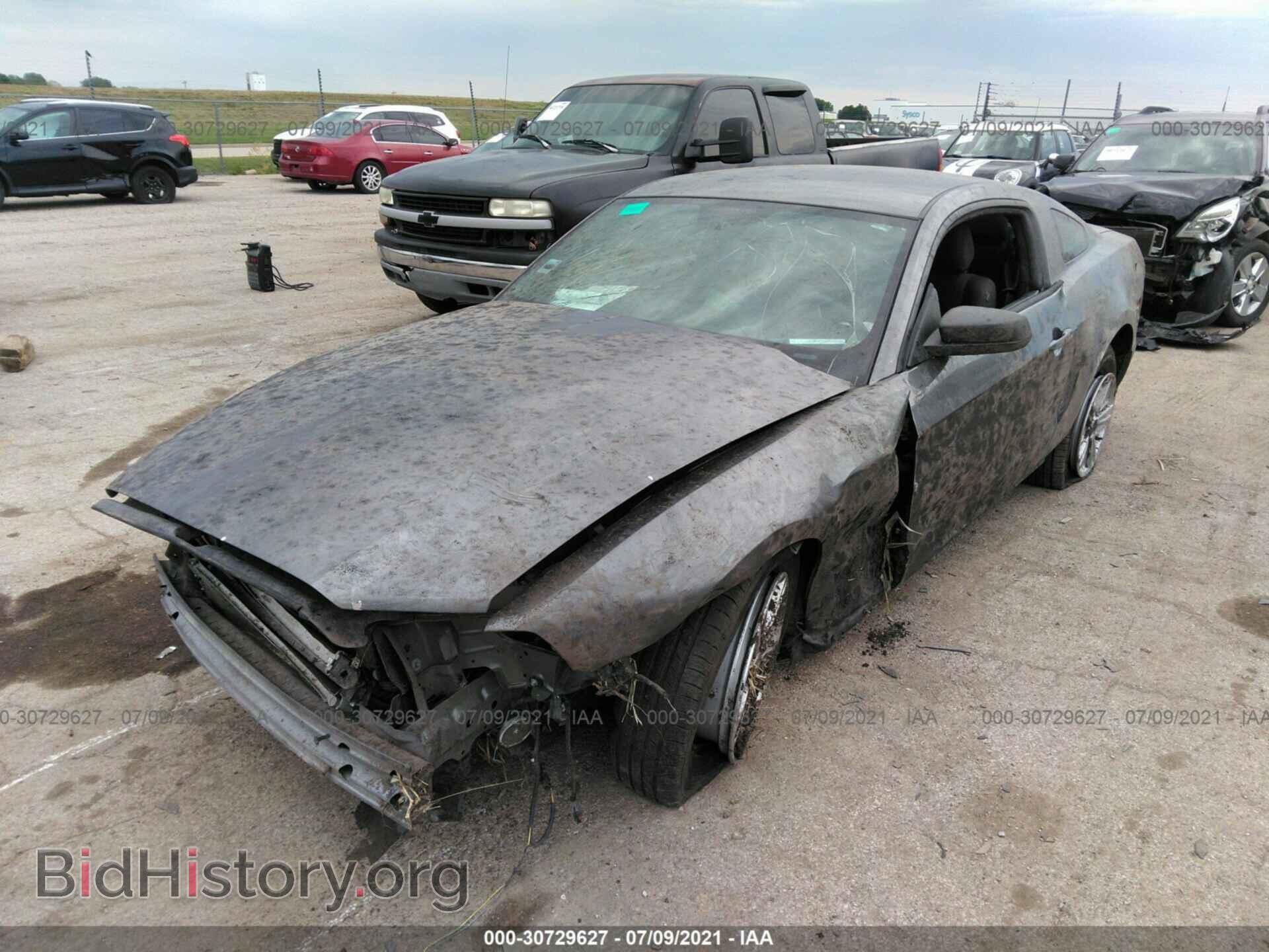 2014 FORD MUSTANG - VIN: 1ZVBP8AM4E5252443 - Фото 2