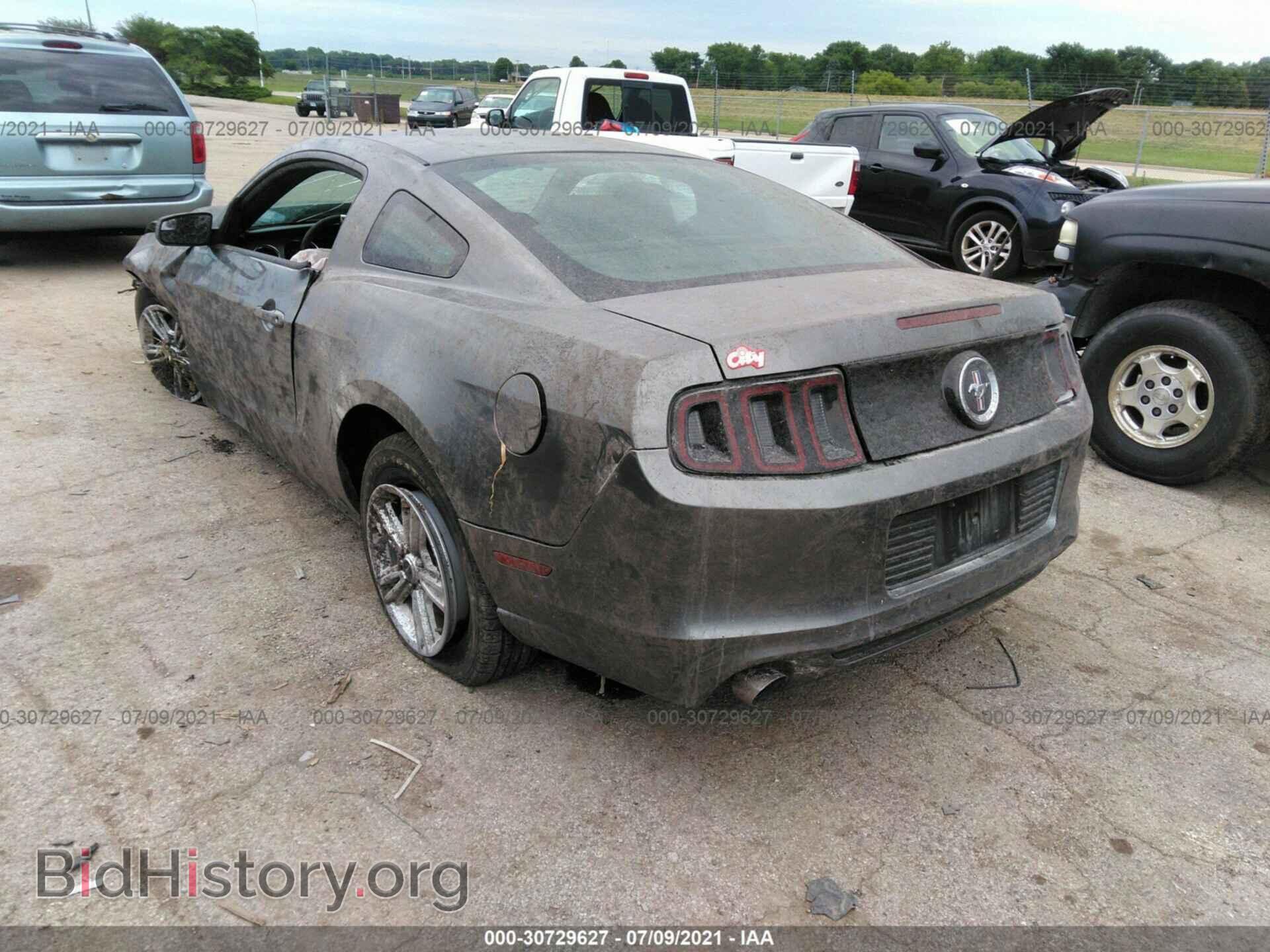 2014 FORD MUSTANG - VIN: 1ZVBP8AM4E5252443 - Фото 3