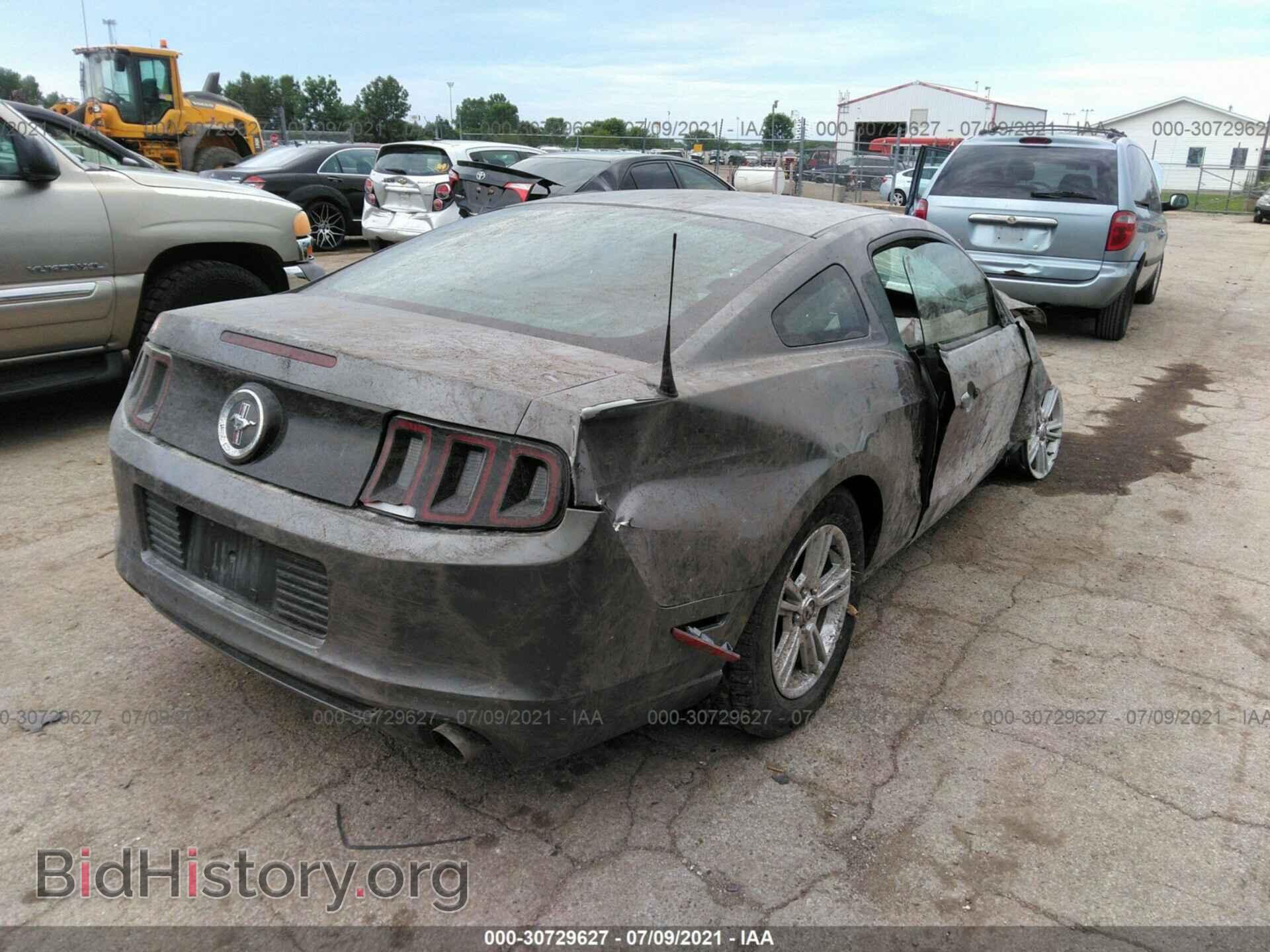2014 FORD MUSTANG - VIN: 1ZVBP8AM4E5252443 - Фото 4