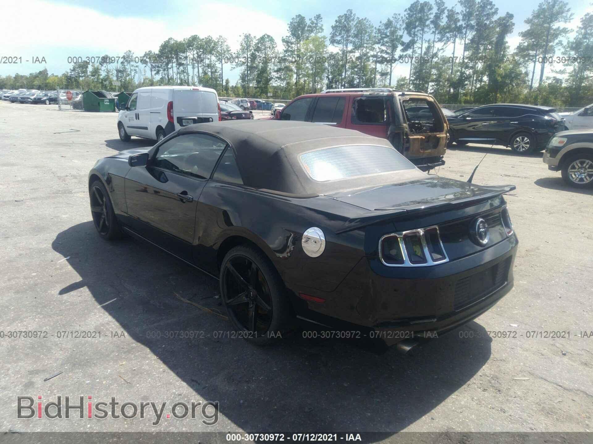 2013 FORD MUSTANG - VIN: 1ZVBP8EM4D5269901 - Фото 3