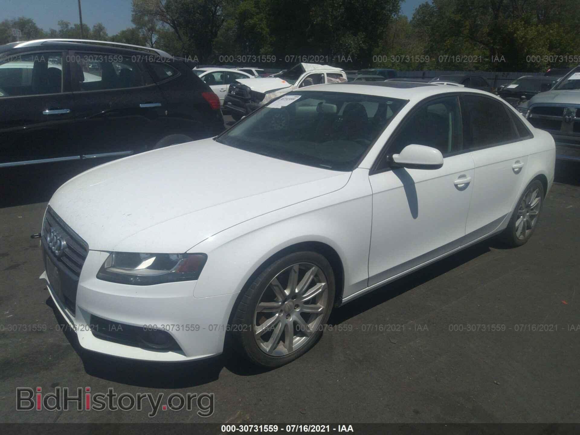 2011 AUDI A4 - VIN: WAUAFAFL3BN002256 - Фото 2