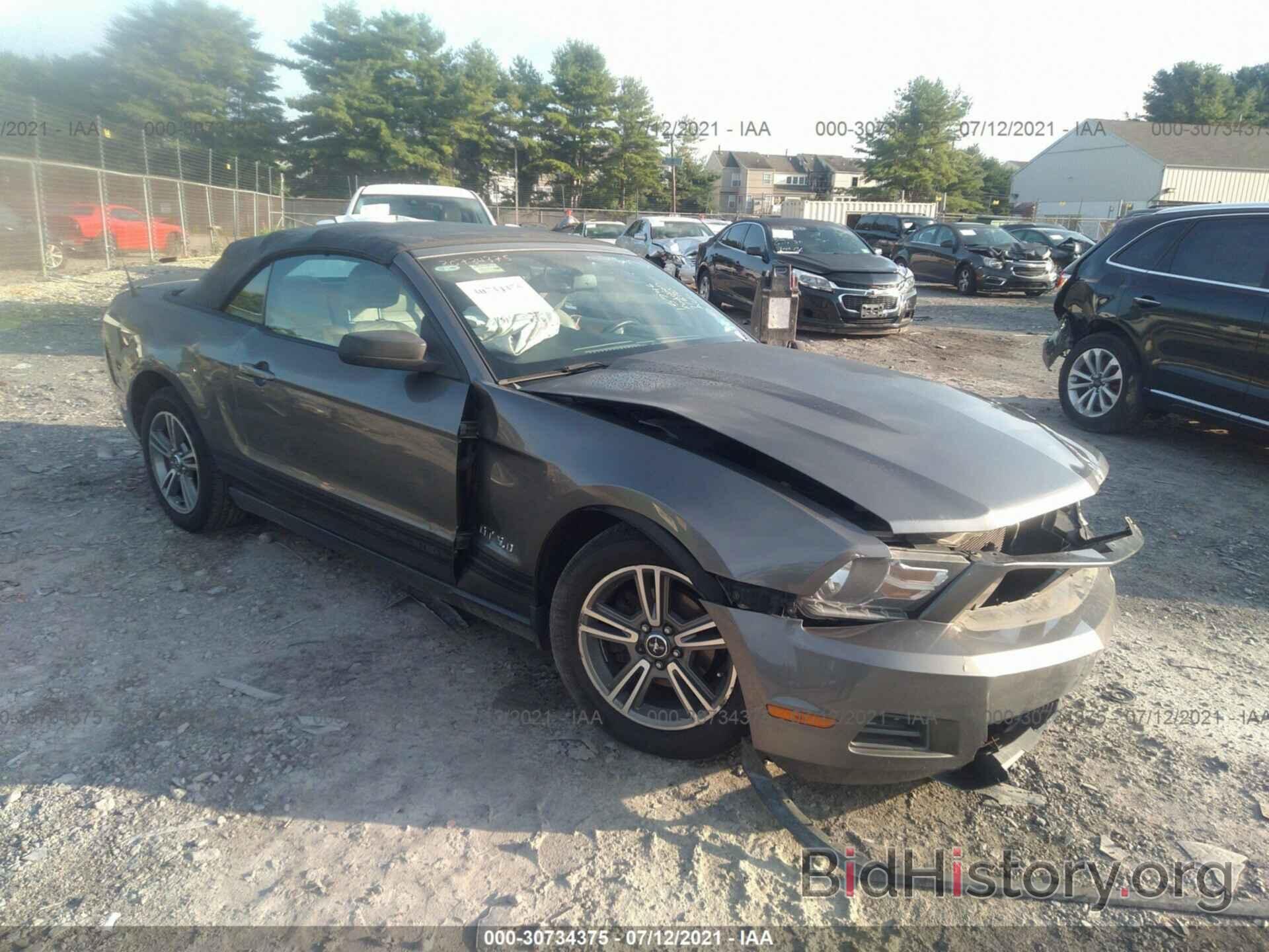 Photo 1ZVBP8EN2A5178601 - FORD MUSTANG 2010