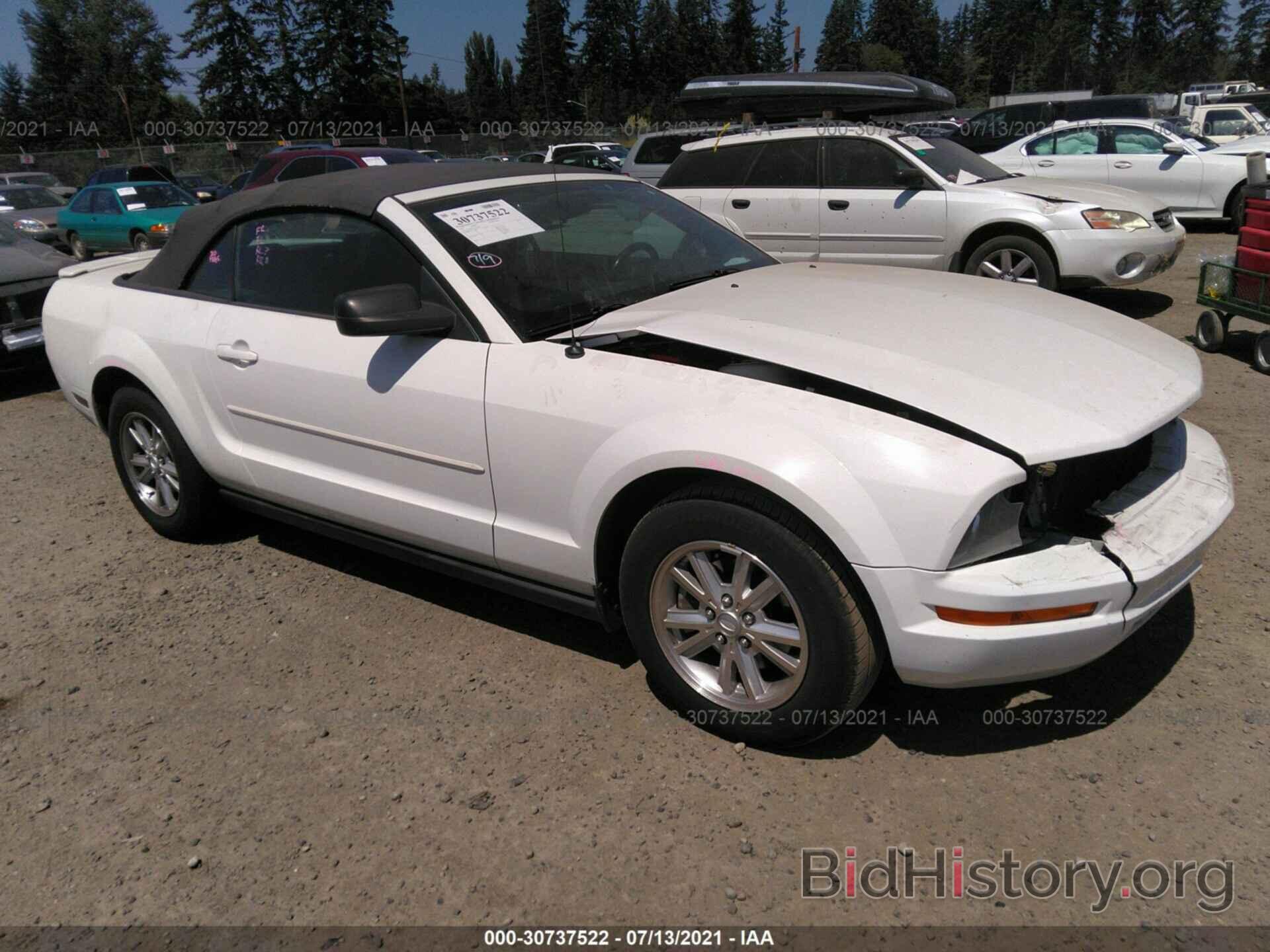 Photo 1ZVFT84N275355106 - FORD MUSTANG 2007