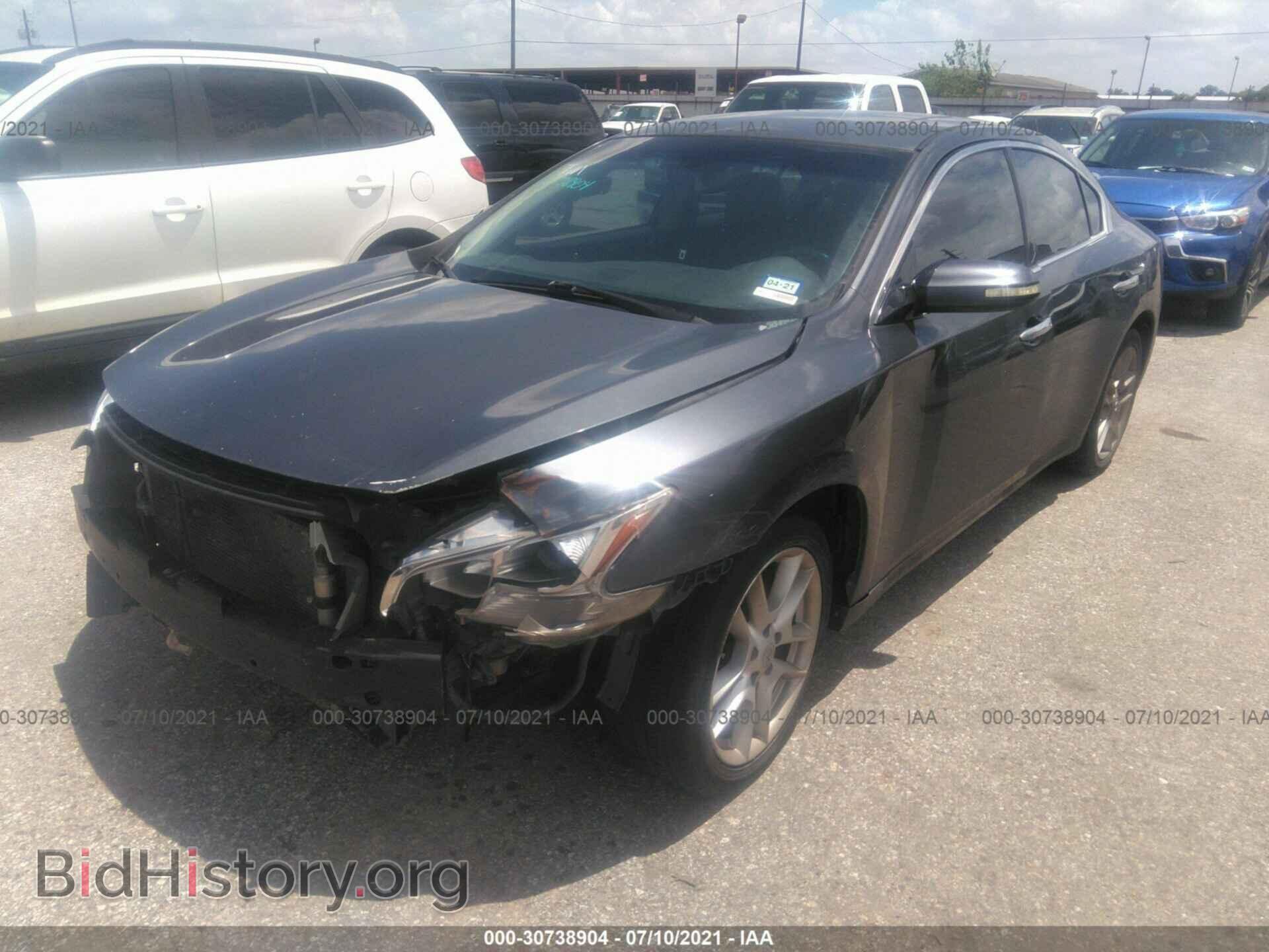 2009 NISSAN MAXIMA - VIN: 1N4AA51EX9C847229 - Фото 2