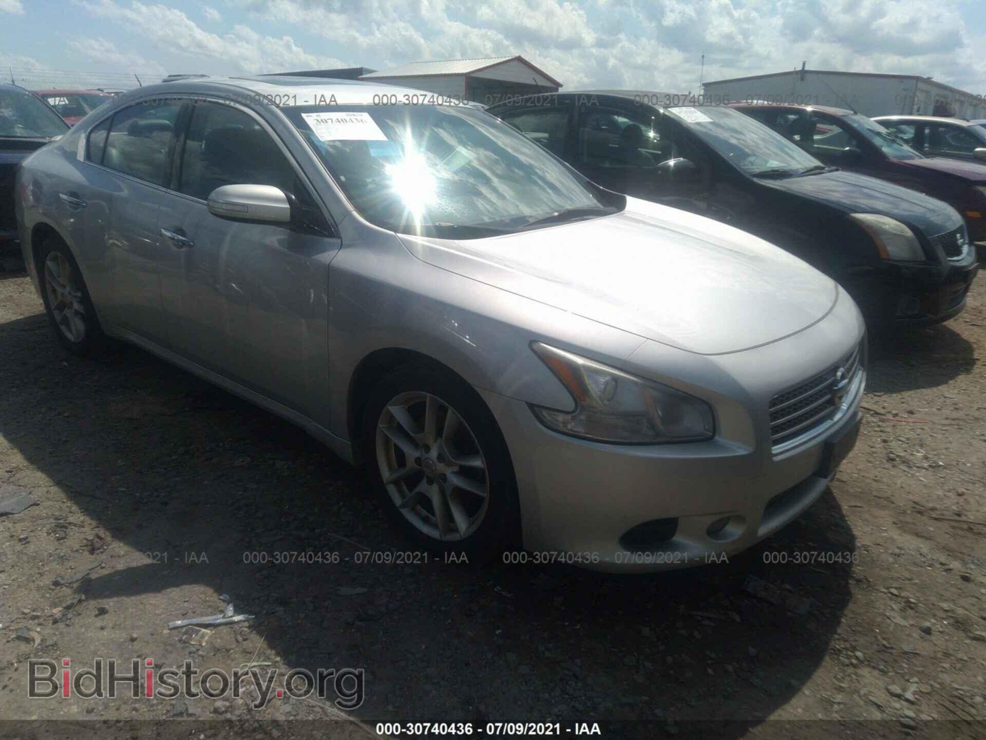 Фотография 1N4AA5AP7BC837670 - NISSAN MAXIMA 2011