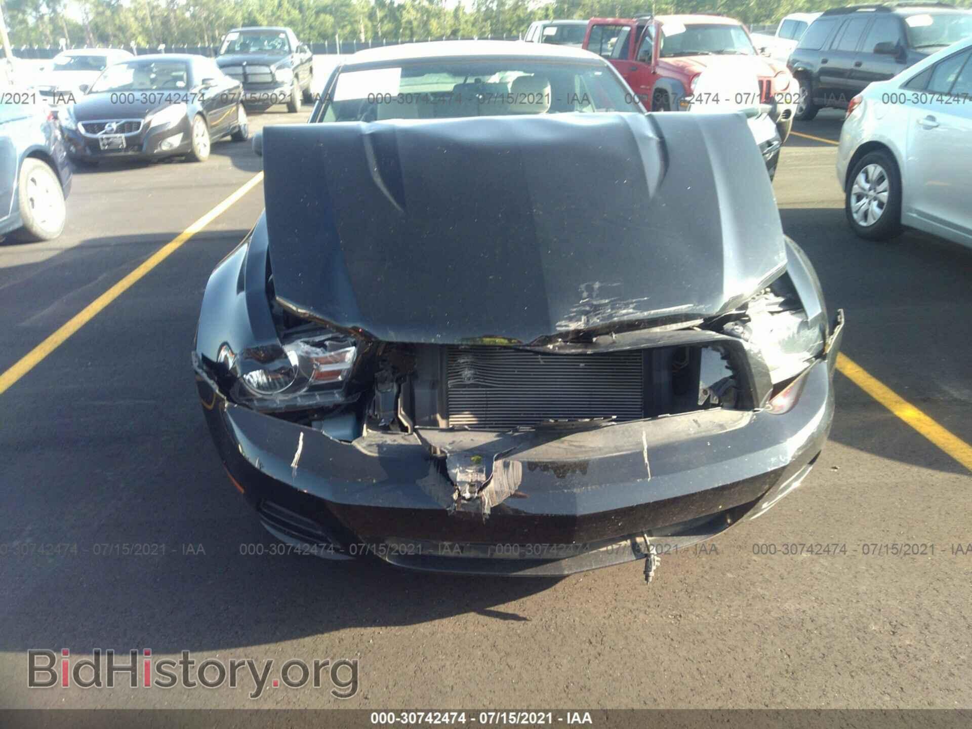 2010 FORD MUSTANG - VIN: 1ZVBP8EN5A5113385 - Фото 6