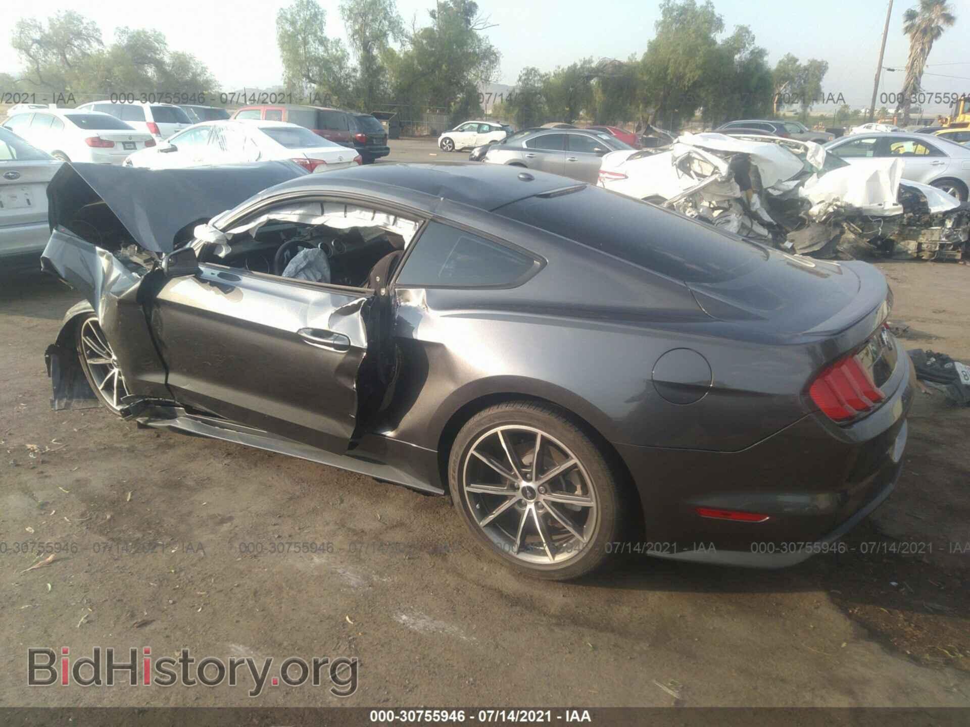 2019 FORD MUSTANG - VIN: 1FA6P8TH8K5131078 - Фото 3