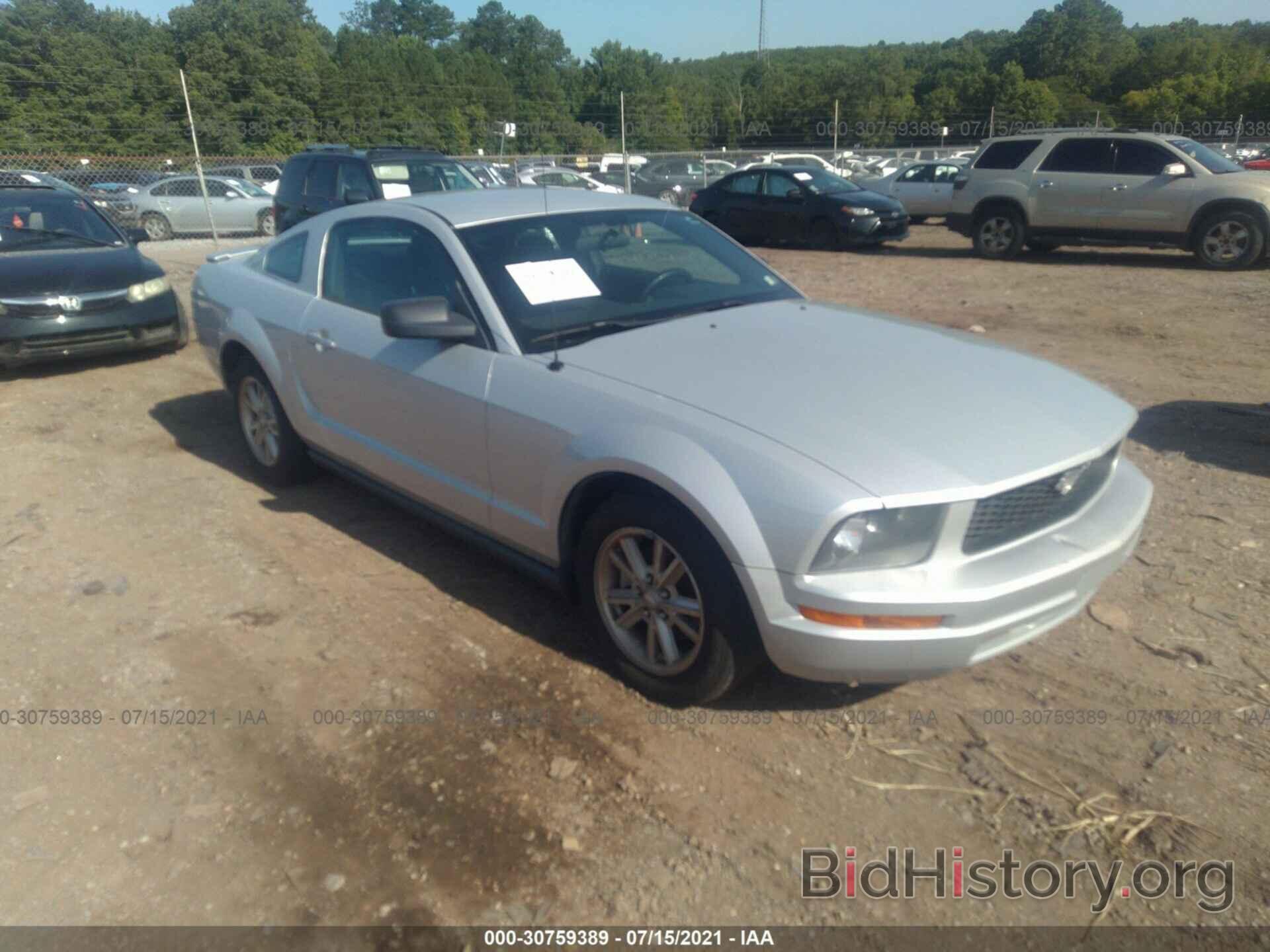 Photo 1ZVHT80N185129493 - FORD MUSTANG 2008