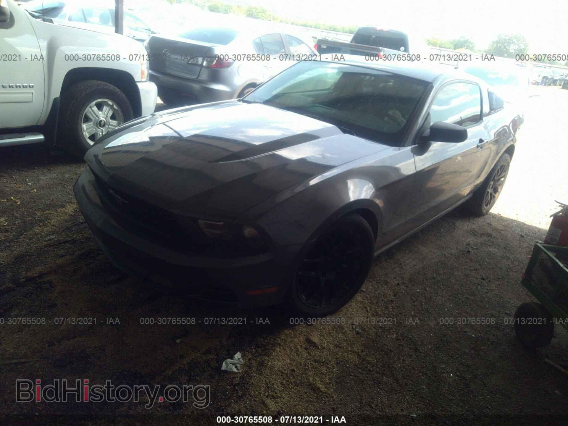 2011 FORD MUSTANG - VIN: 1ZVBP8AM8B5160408 - Фото 2