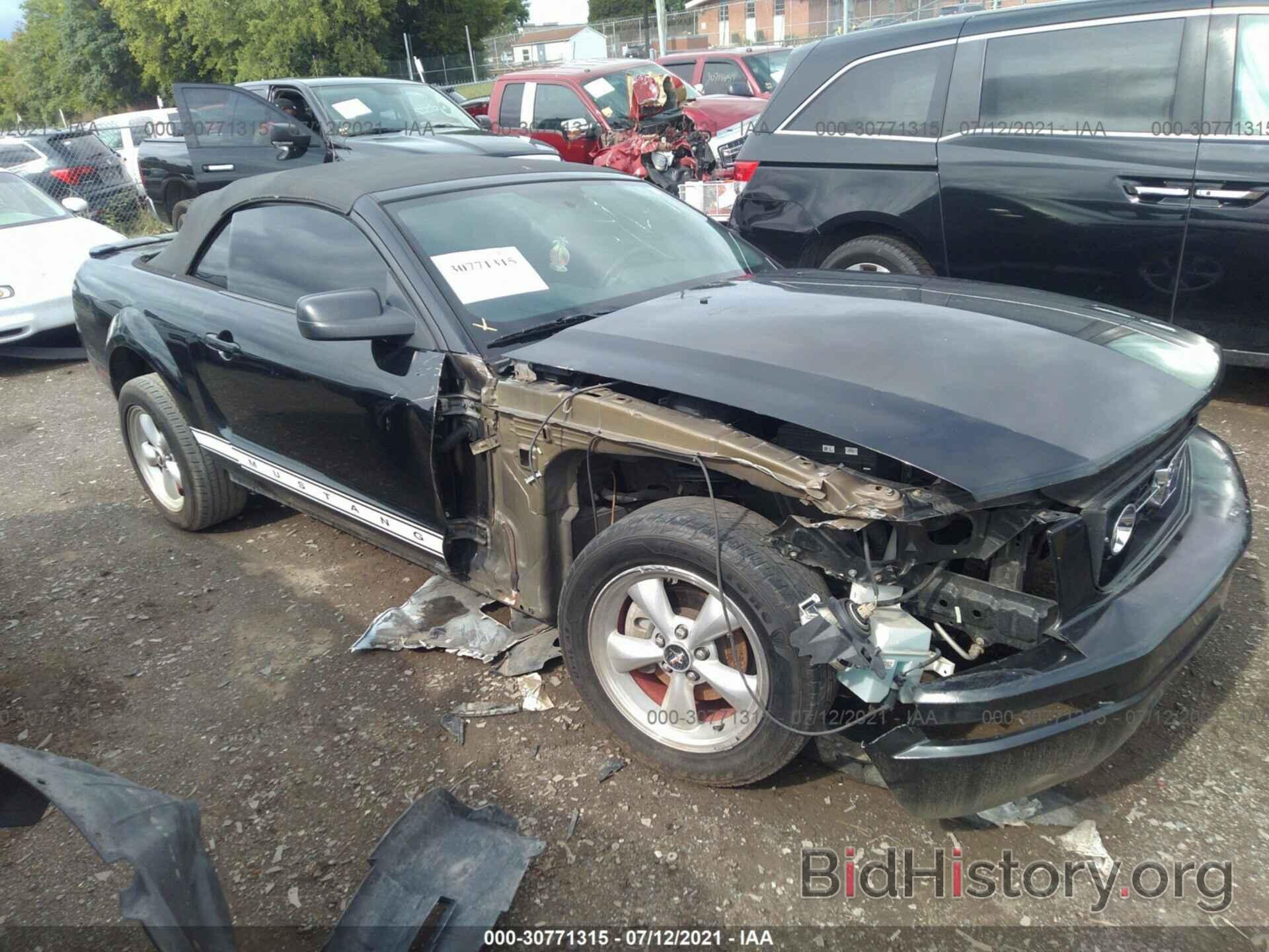 Photo 1ZVHT84N695134961 - FORD MUSTANG 2009
