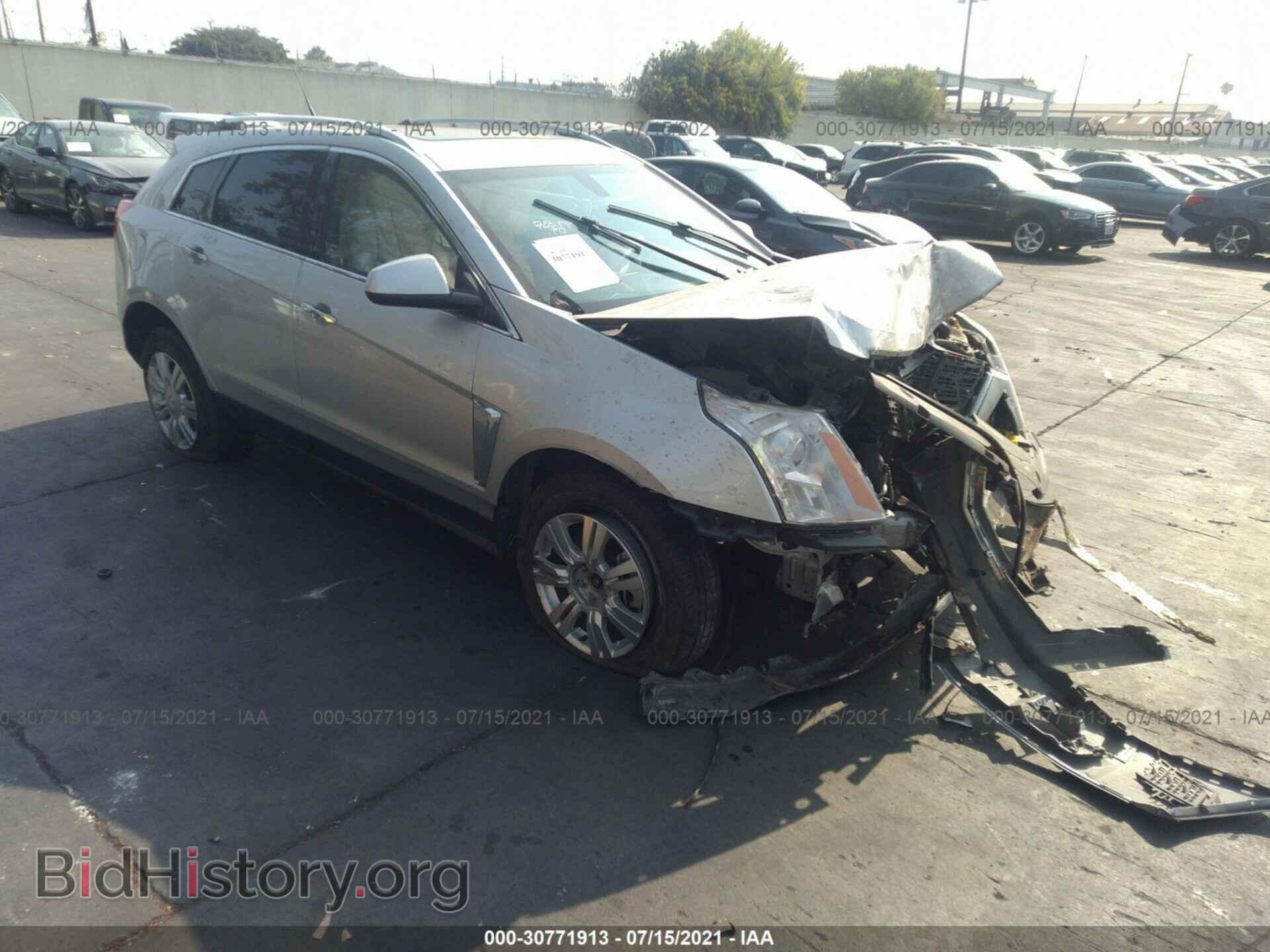 Фотография 3GYFNCE35DS643419 - CADILLAC SRX 2013