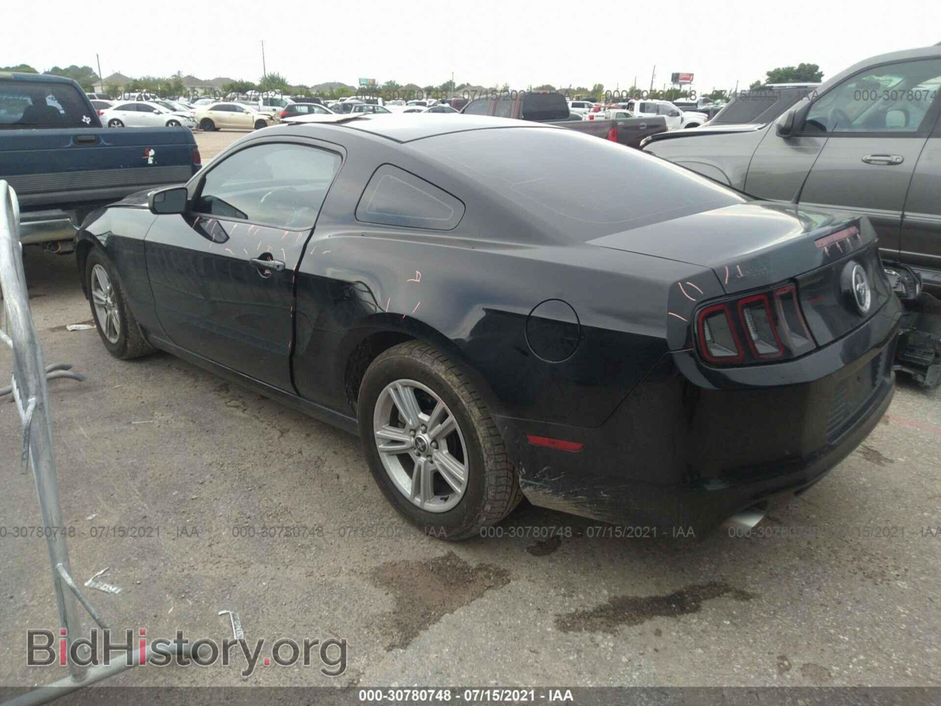 2014 FORD MUSTANG - VIN: 1ZVBP8AM1E5332542 - Фото 3