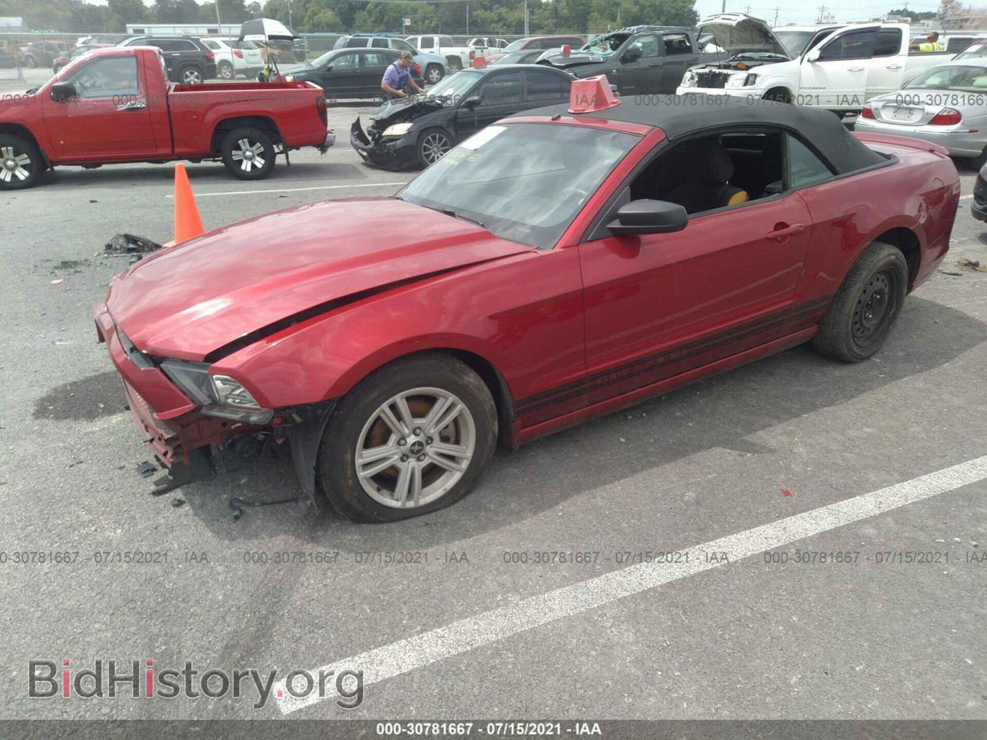 2013 FORD MUSTANG - VIN: 1ZVBP8EM4D5214350 - Фото 2