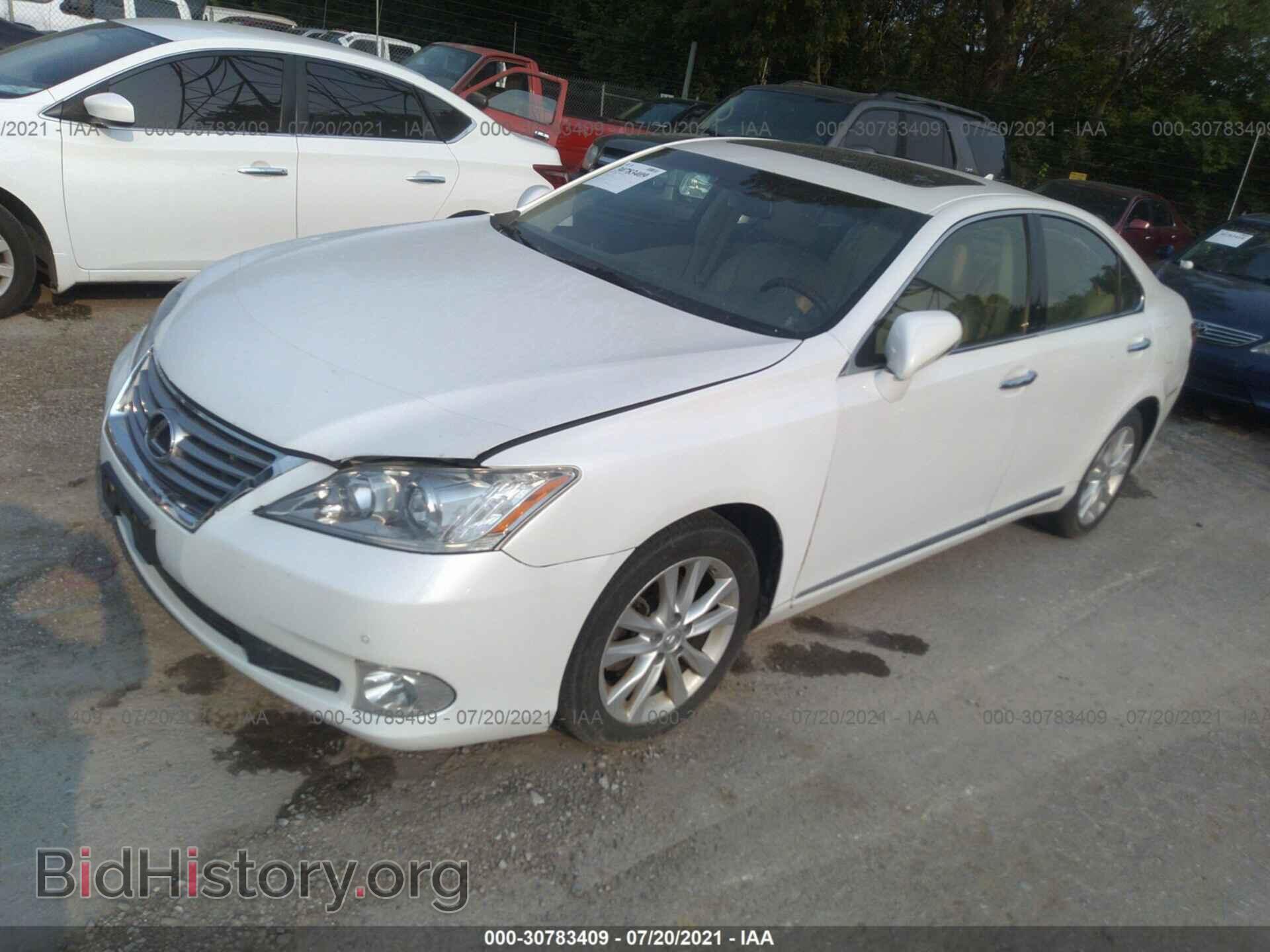 2012 LEXUS ES 350 - VIN: JTHBK1EG1C2504692 - Фото 2