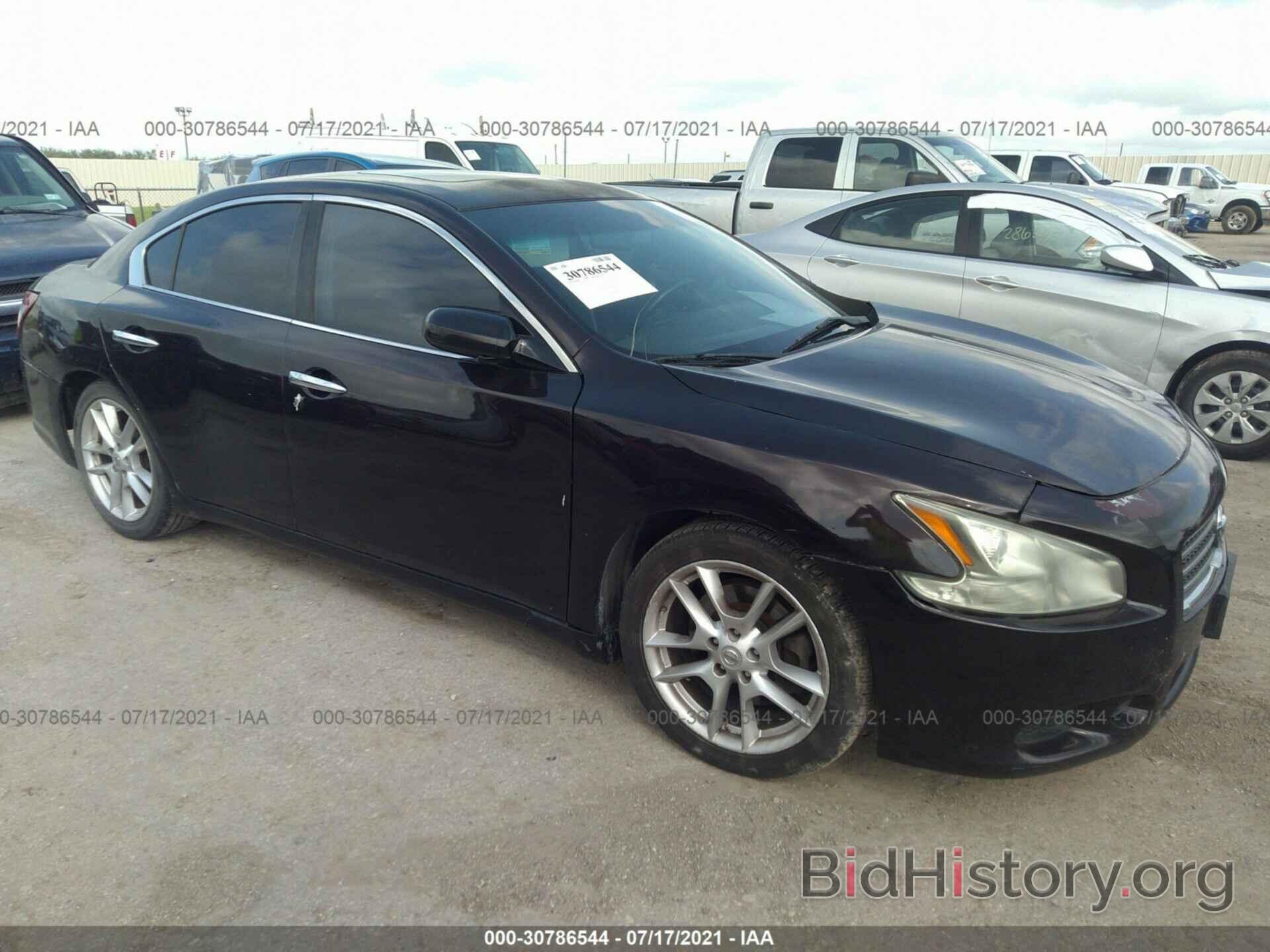 Photo 1N4AA5AP5BC850868 - NISSAN MAXIMA 2011