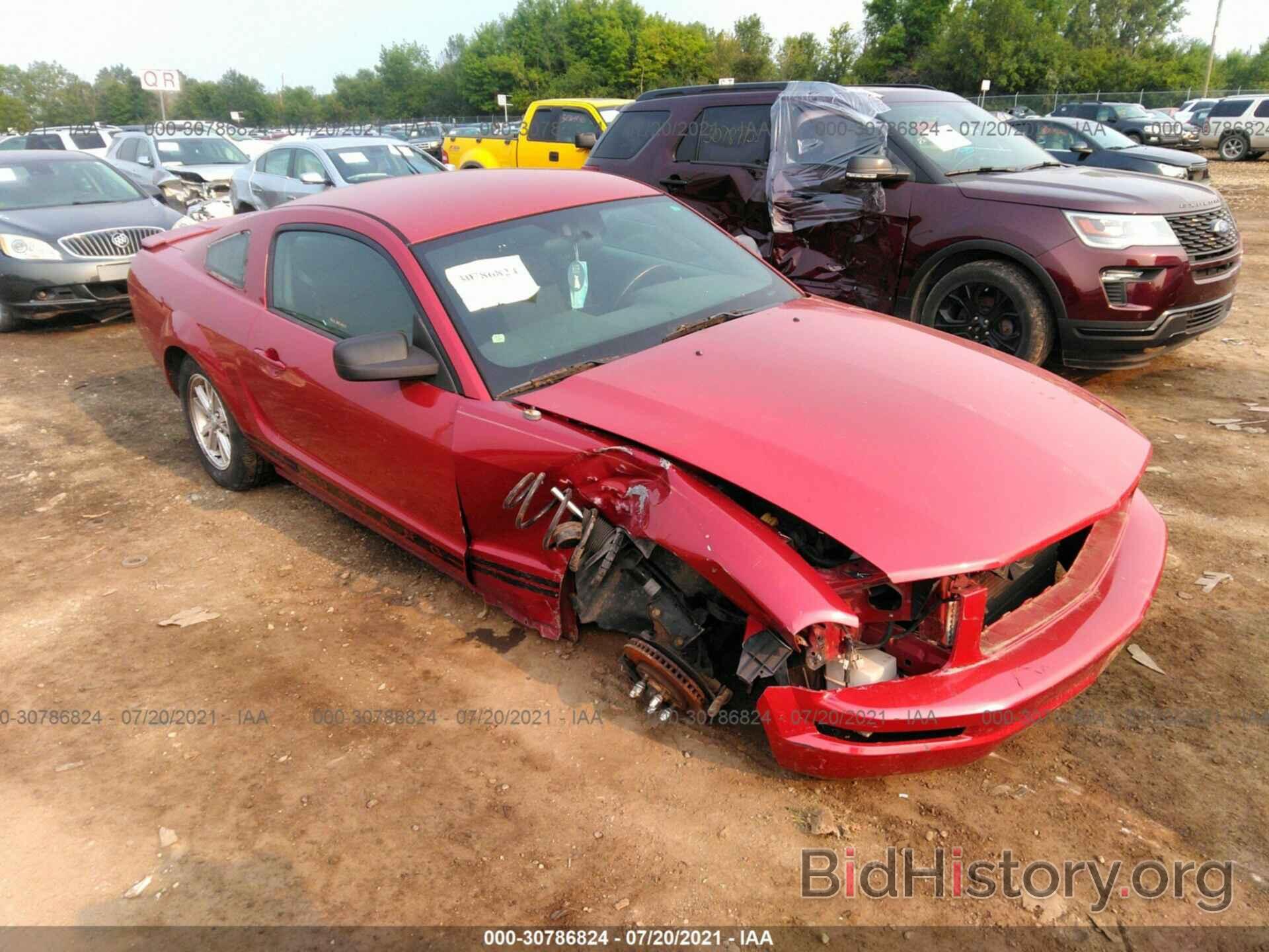 Photo 1ZVHT80N985117057 - FORD MUSTANG 2008