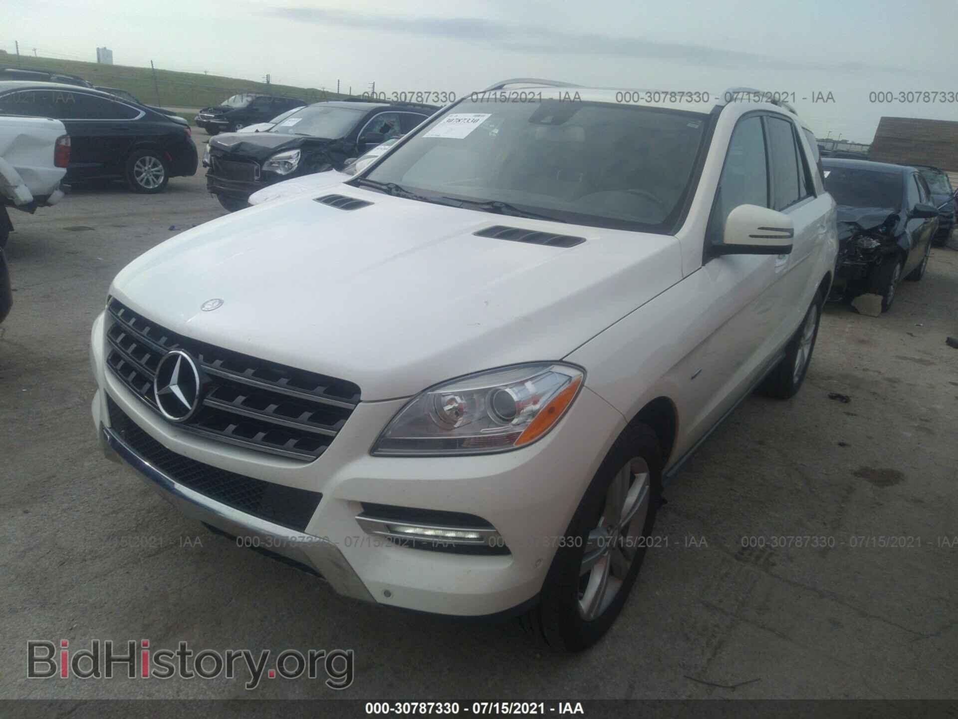 2012 MERCEDES-BENZ M-CLASS - VIN: 4JGDA5HB5CA026282 - Фото 2