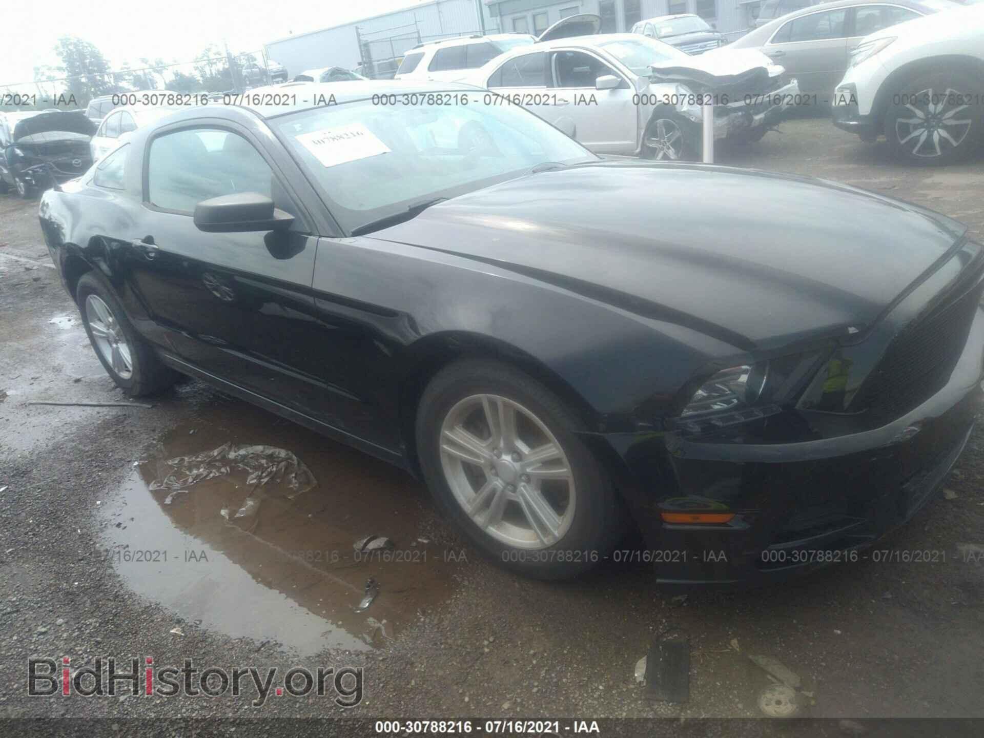 Фотография 1ZVBP8AM4E5220852 - FORD MUSTANG 2014