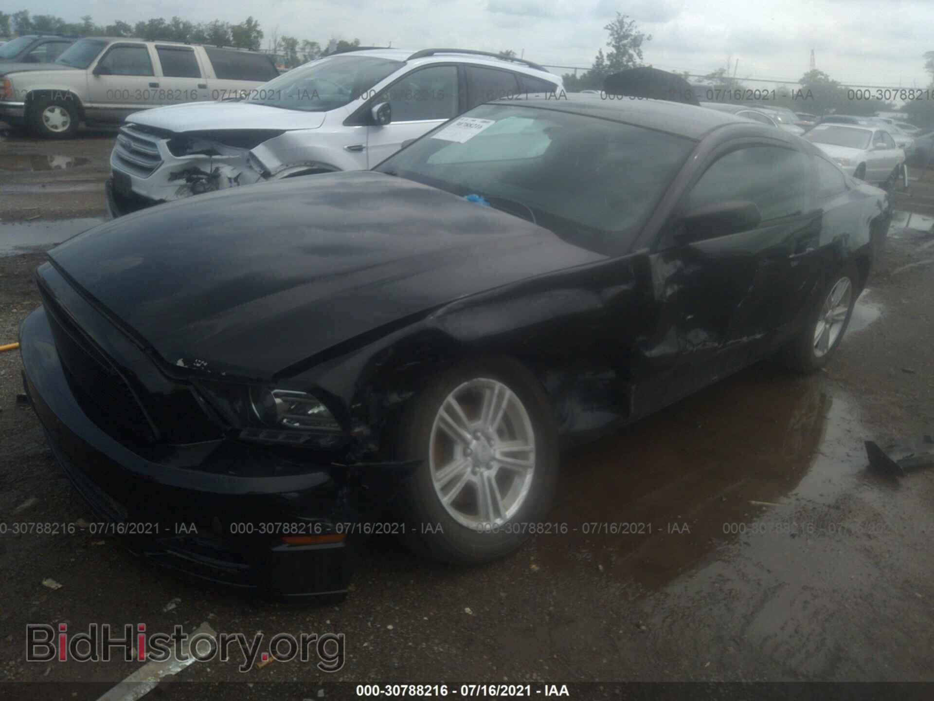 2014 FORD MUSTANG - VIN: 1ZVBP8AM4E5220852 - Фото 2