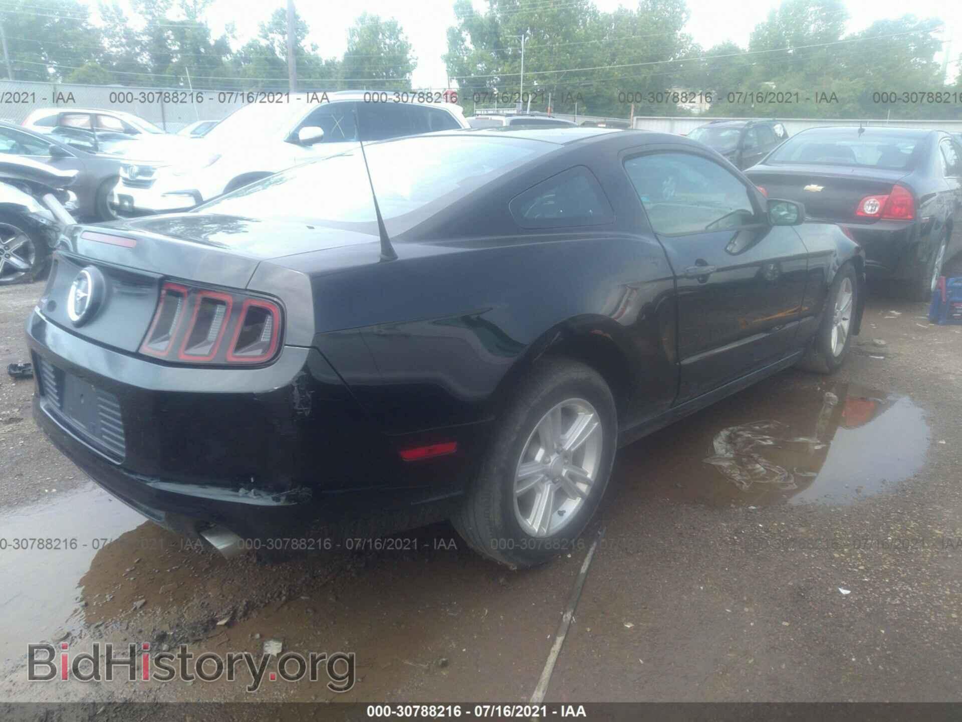 2014 FORD MUSTANG - VIN: 1ZVBP8AM4E5220852 - Фото 4
