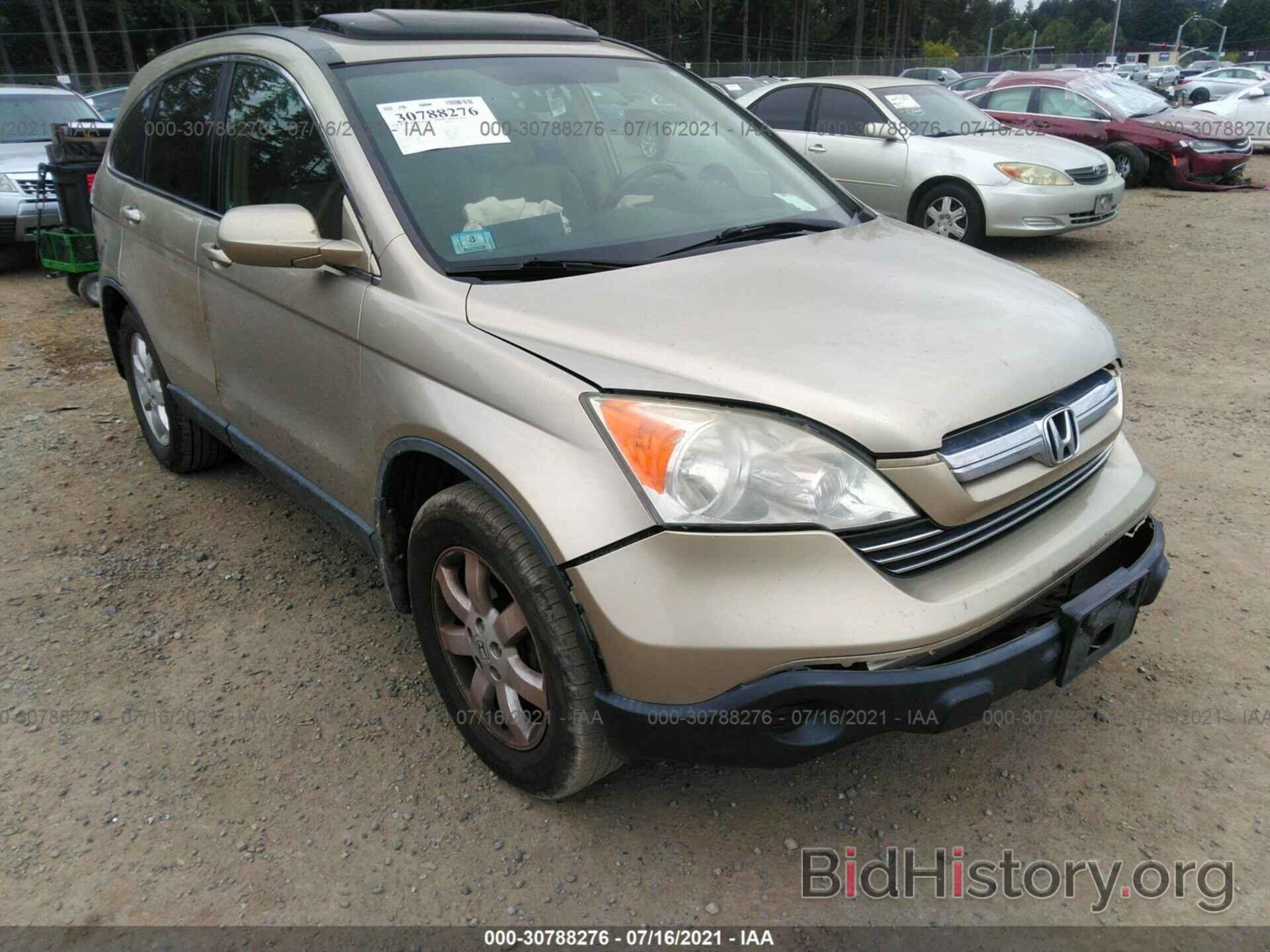 Photo JHLRE48767C070227 - HONDA CR-V 2007