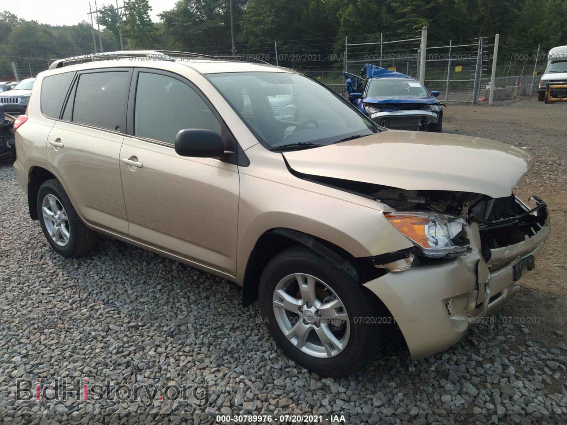 Фотография 2T3BF4DV1BW154235 - TOYOTA RAV4 2011