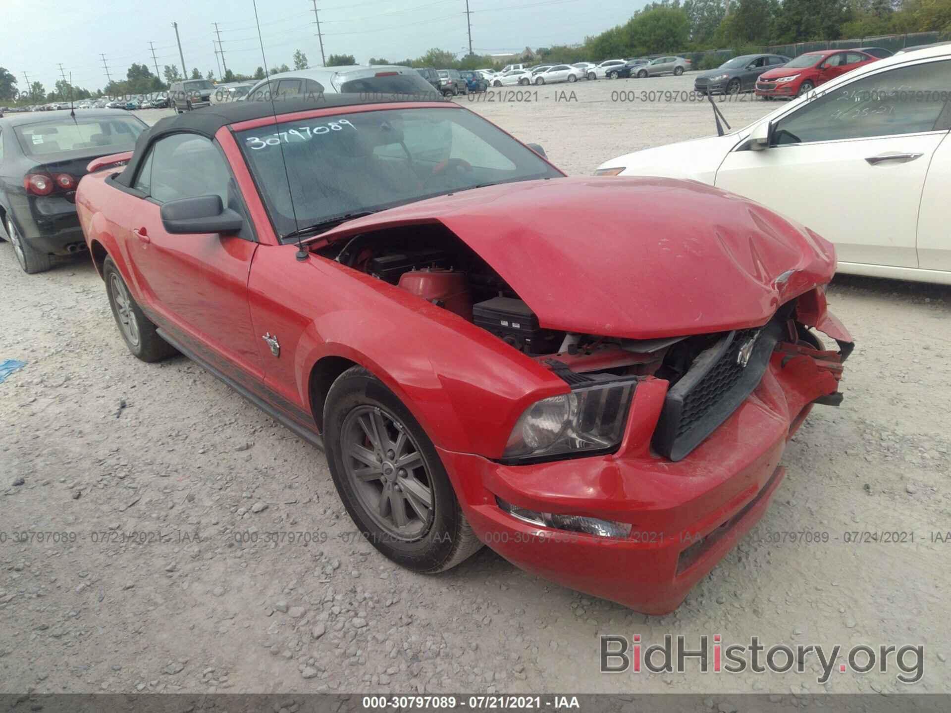 Photo 1ZVHT84N695112457 - FORD MUSTANG 2009
