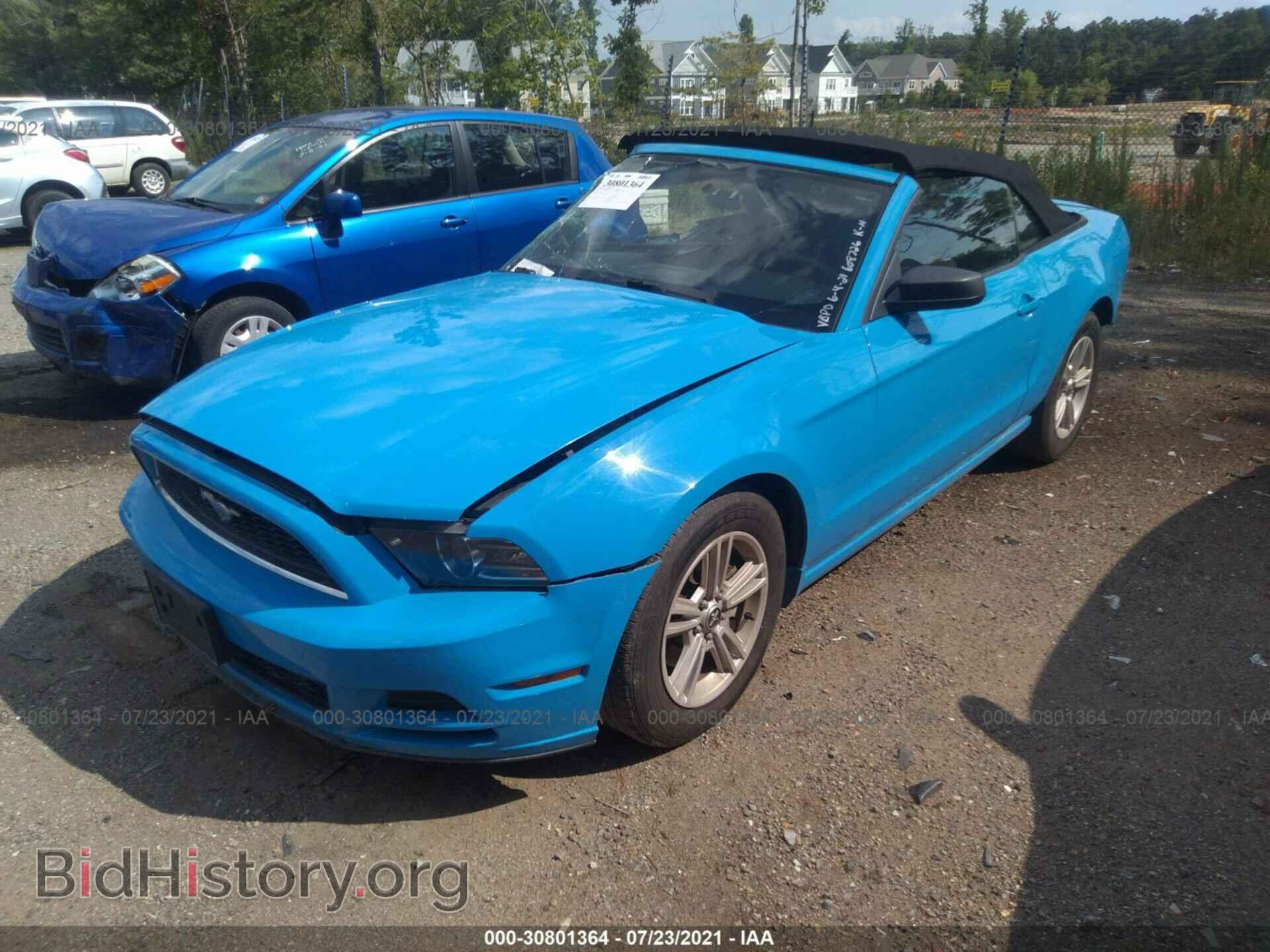 2013 FORD MUSTANG - VIN: 1ZVBP8EM4D5203901 - Фото 2