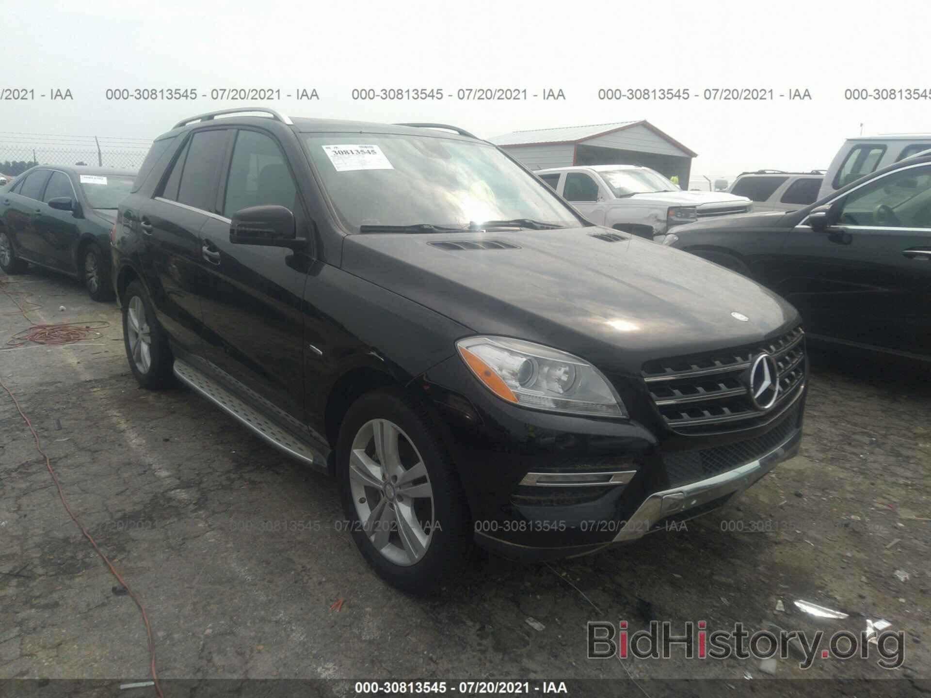 Photo 4JGDA5HB1CA035352 - MERCEDES-BENZ M-CLASS 2012