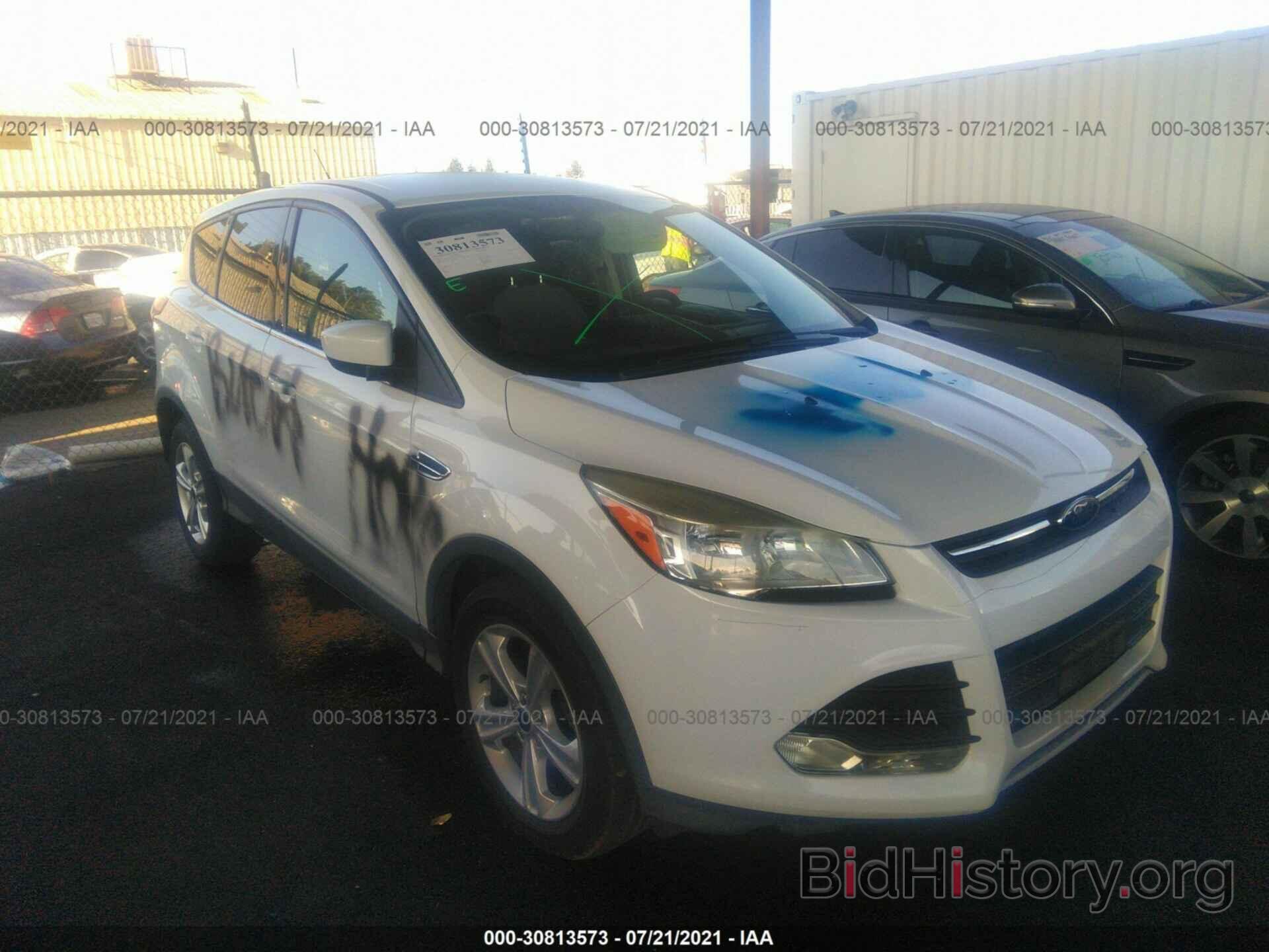 Photo 1FMCU0GX9DUB40370 - FORD ESCAPE 2013