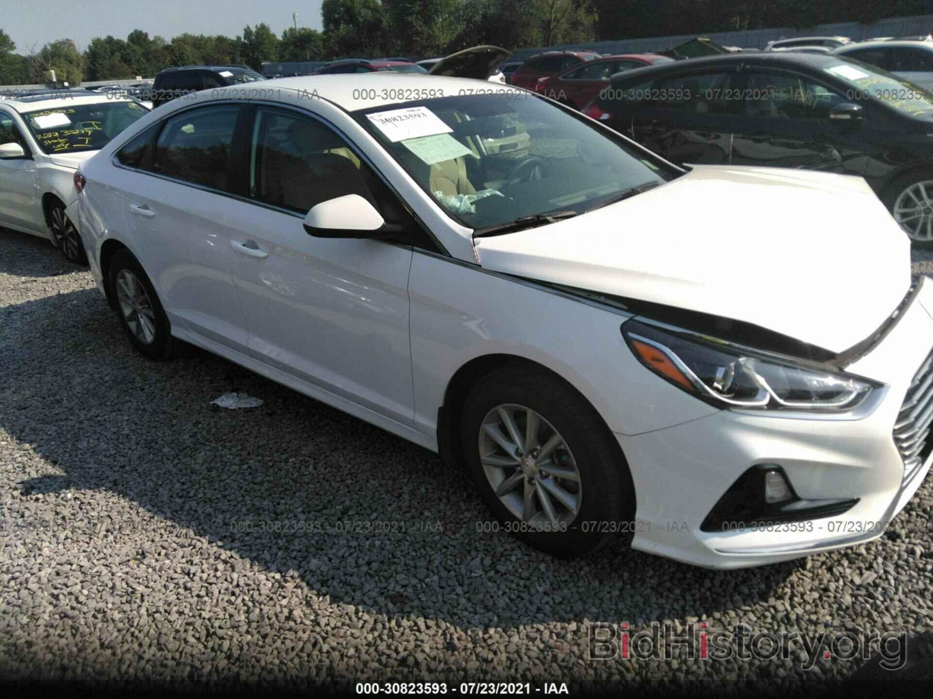 Photo 5NPE24AF6KH800253 - HYUNDAI SONATA 2019