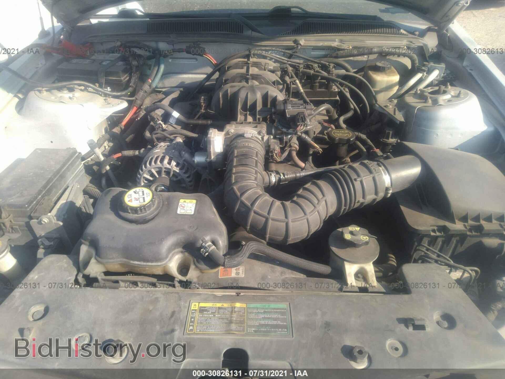 2006 FORD MUSTANG - VIN: 1ZVFT80N165114867 - Фото 10