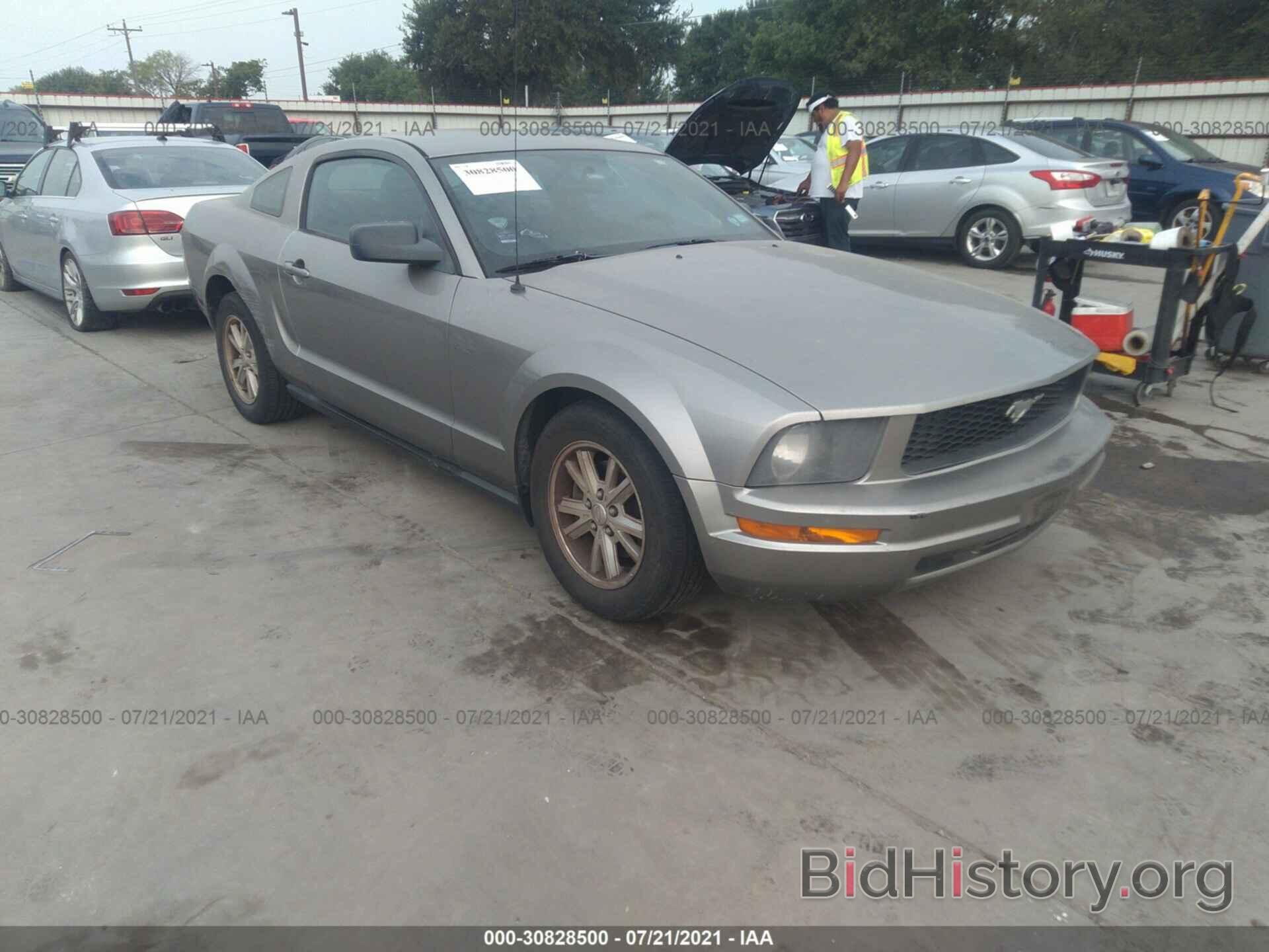 Photo 1ZVHT80N685132941 - FORD MUSTANG 2008
