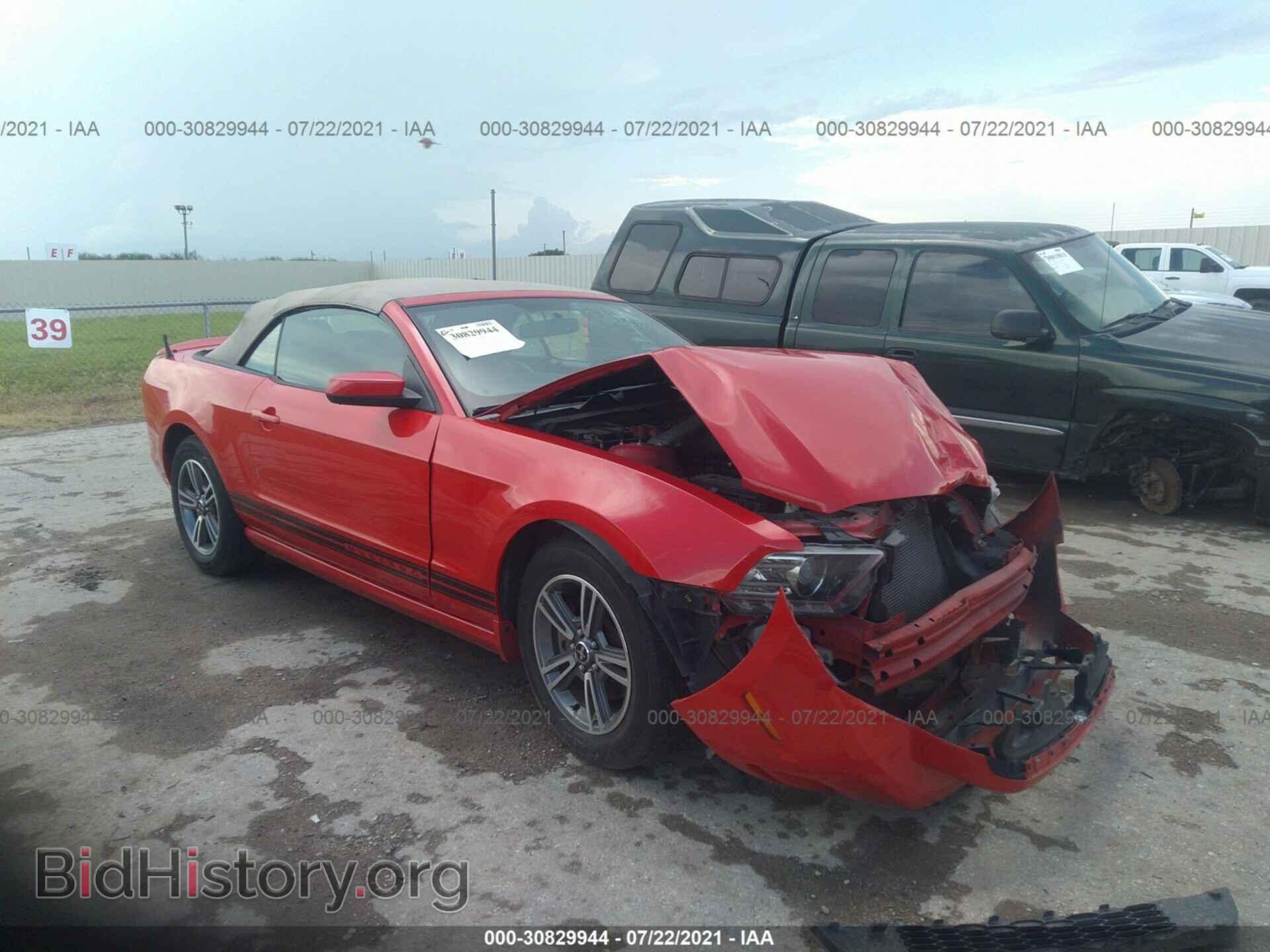 Фотография 1ZVBP8EM2D5239814 - FORD MUSTANG 2013